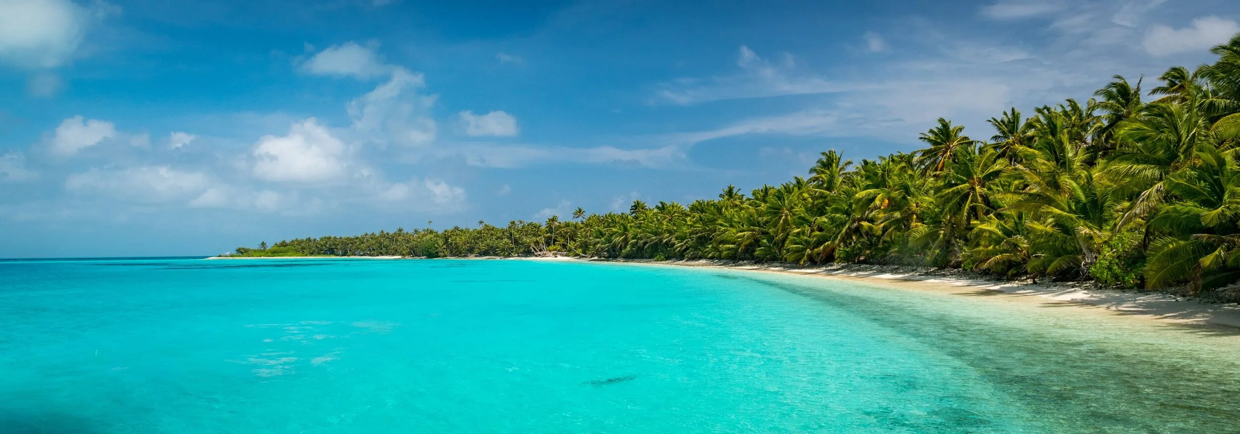 RM_041_Paradise Direction_7x20.jpg