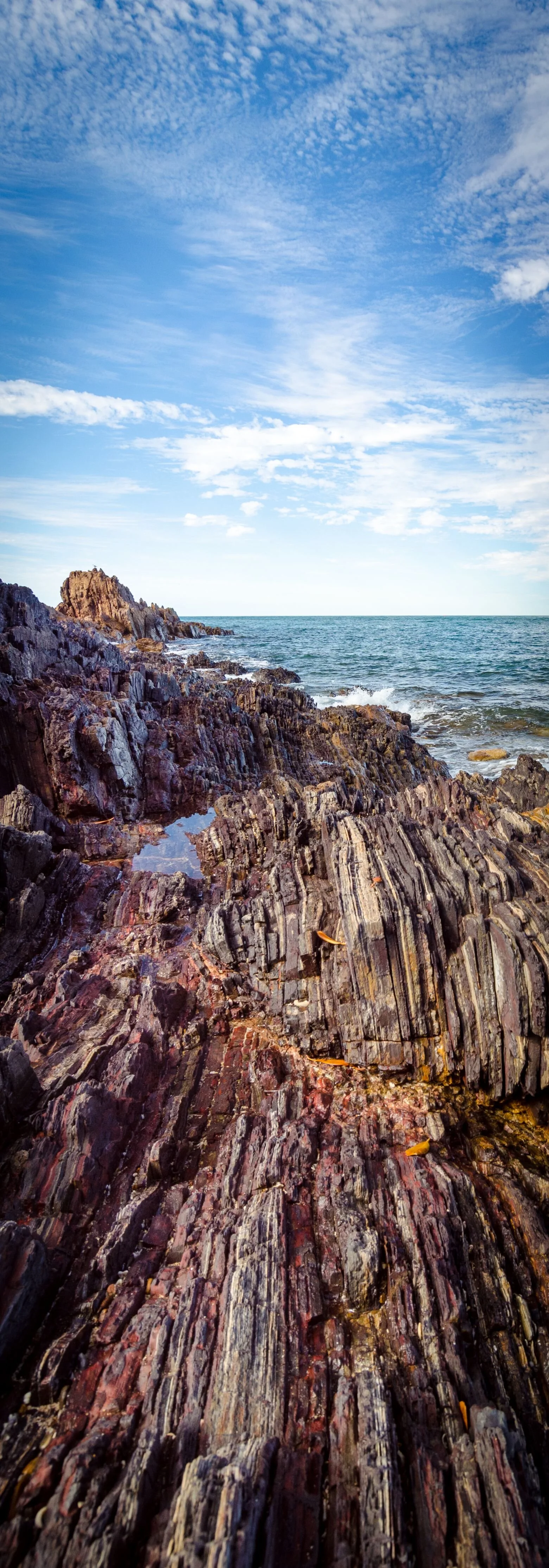 RM_166_Point Samson Sandwich_7x20.jpg