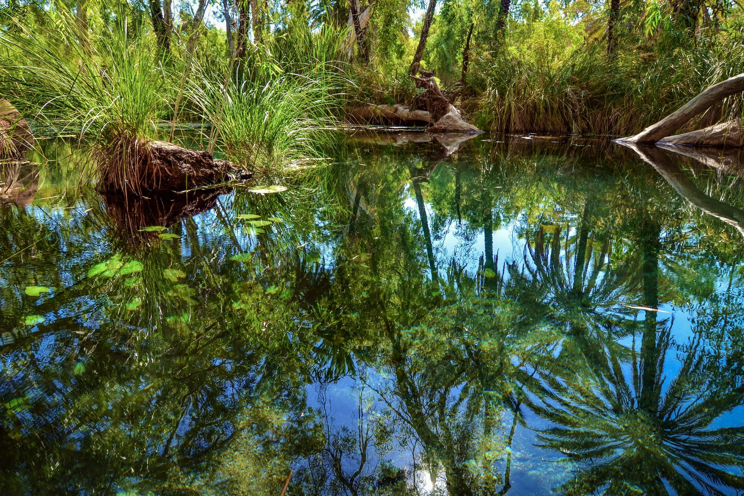 RM_026_Pilbara Oasis_12x18.jpg