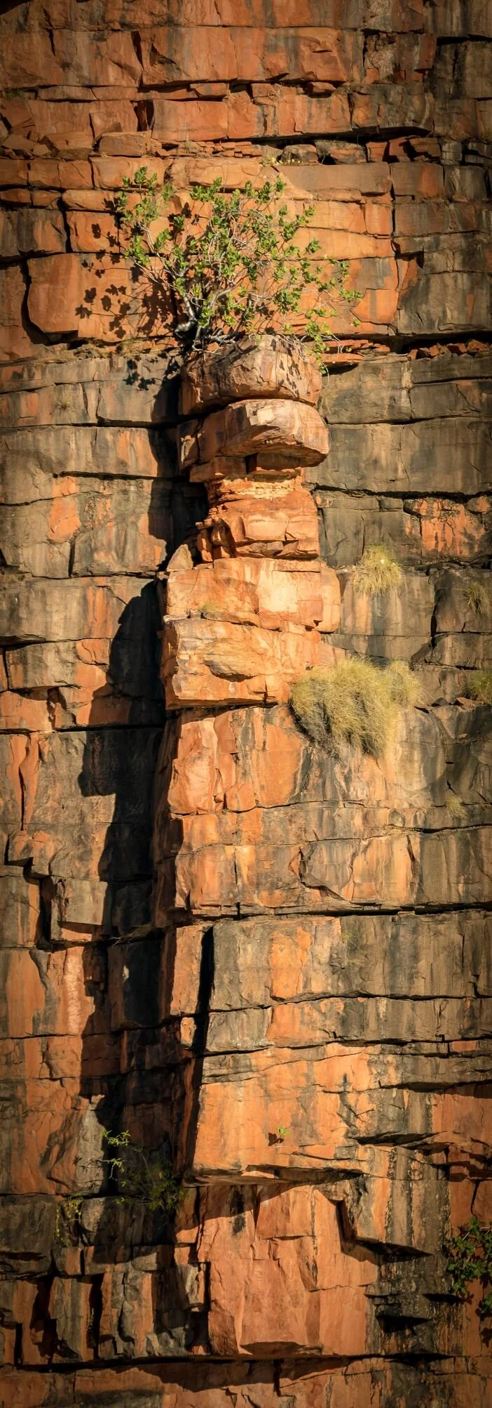 RM_098_Pillar of Strength_7x20.jpg