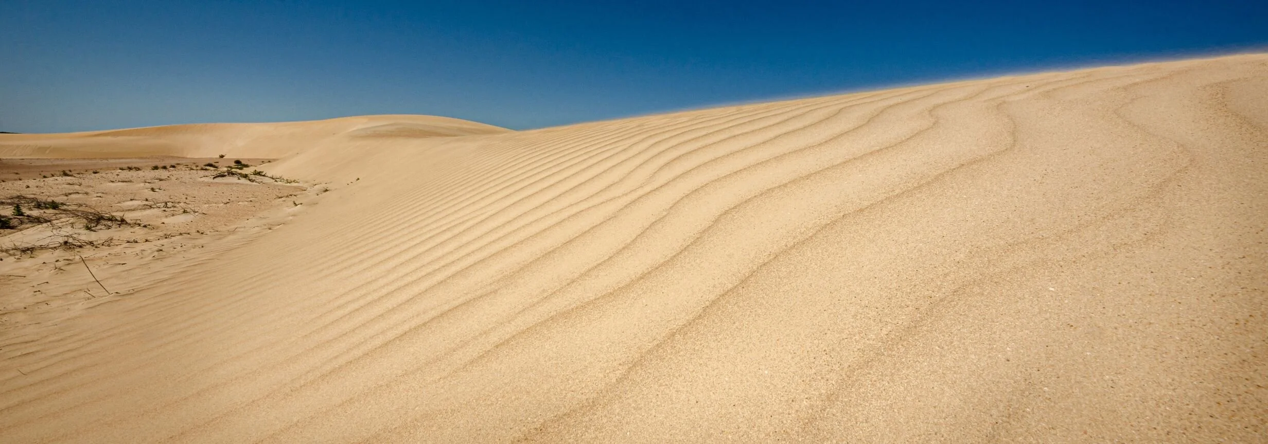 RM_083_Shifting Lines_7x20.jpg