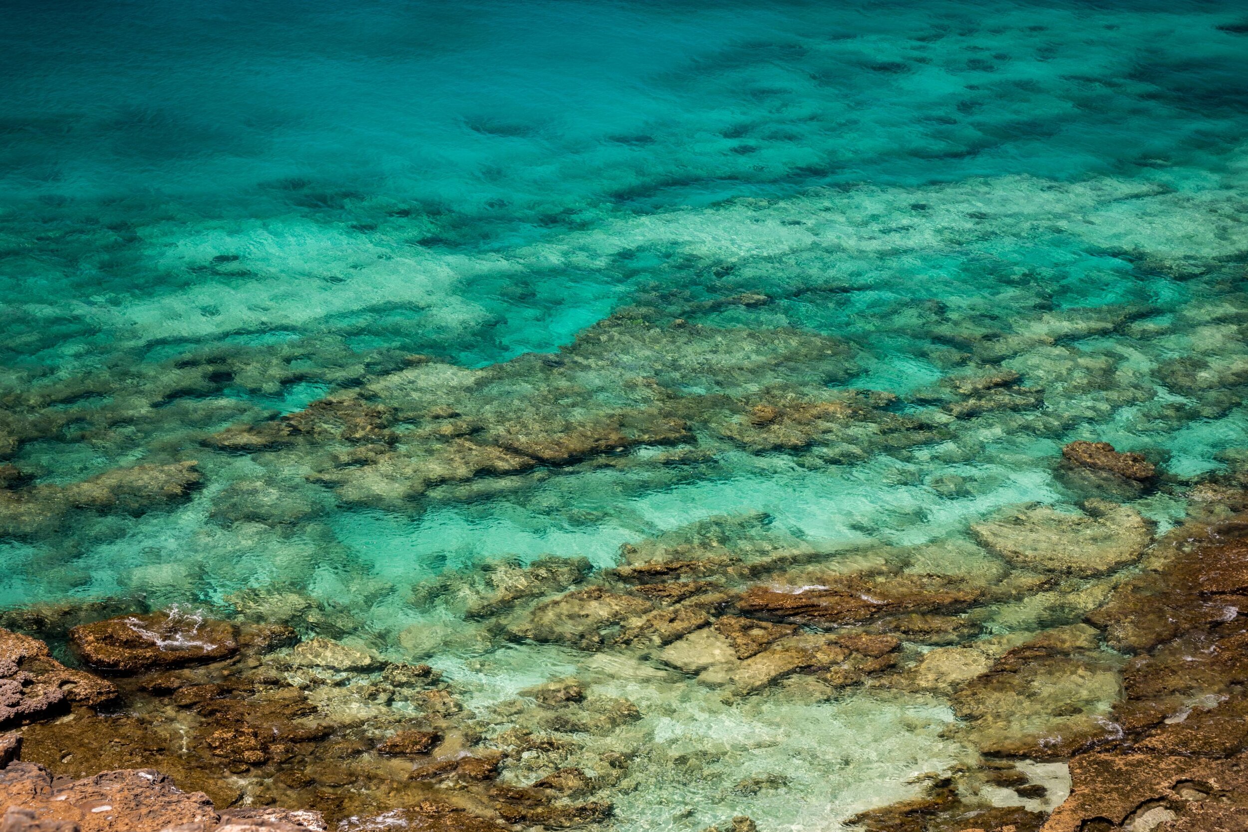 RM_088_Reef Reflections _12x18.jpg