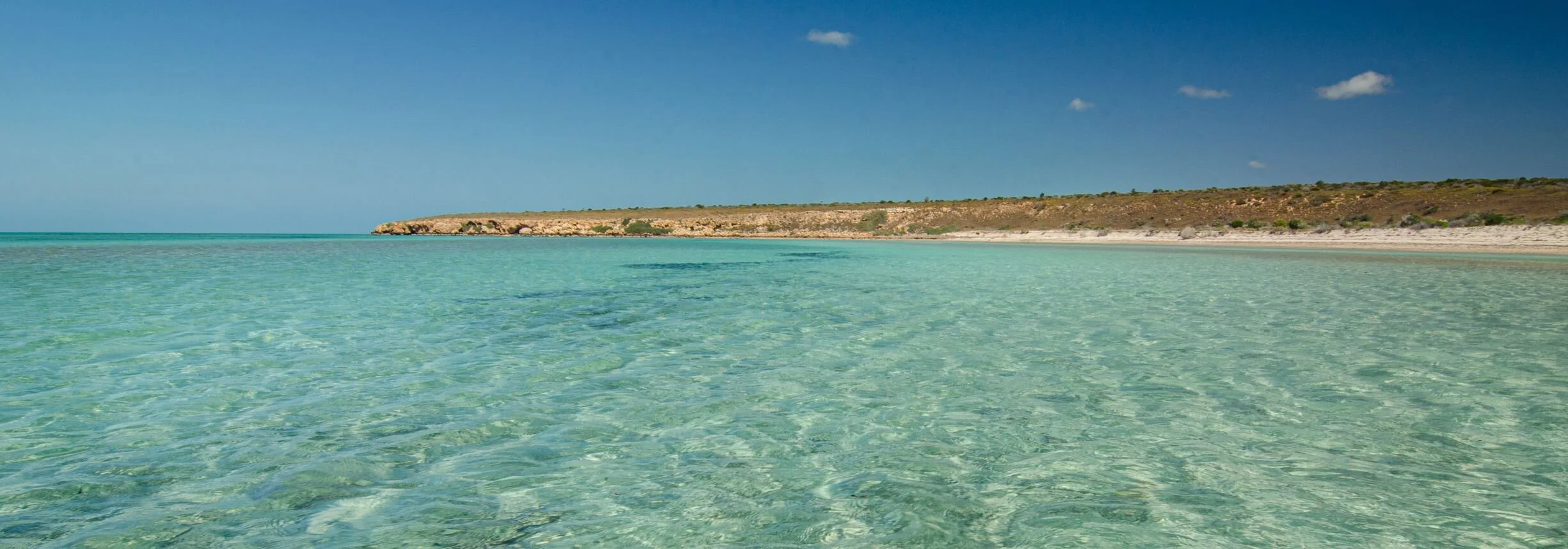 RM_090_Louisa's Lagoon_7x20.jpg