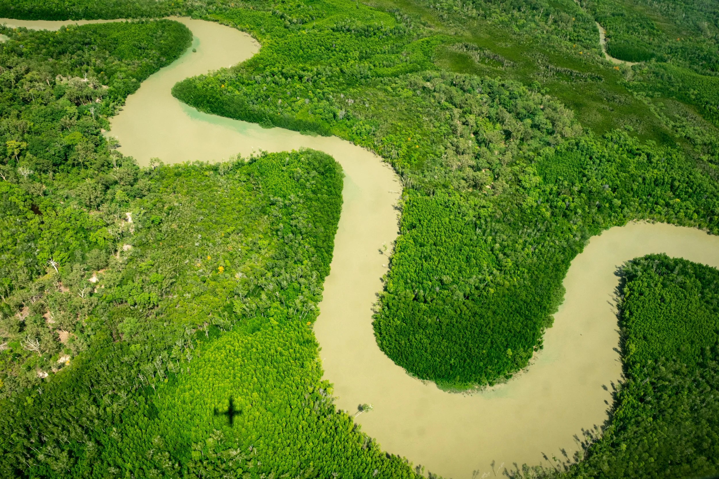 Tiwi Islands 3.JPG