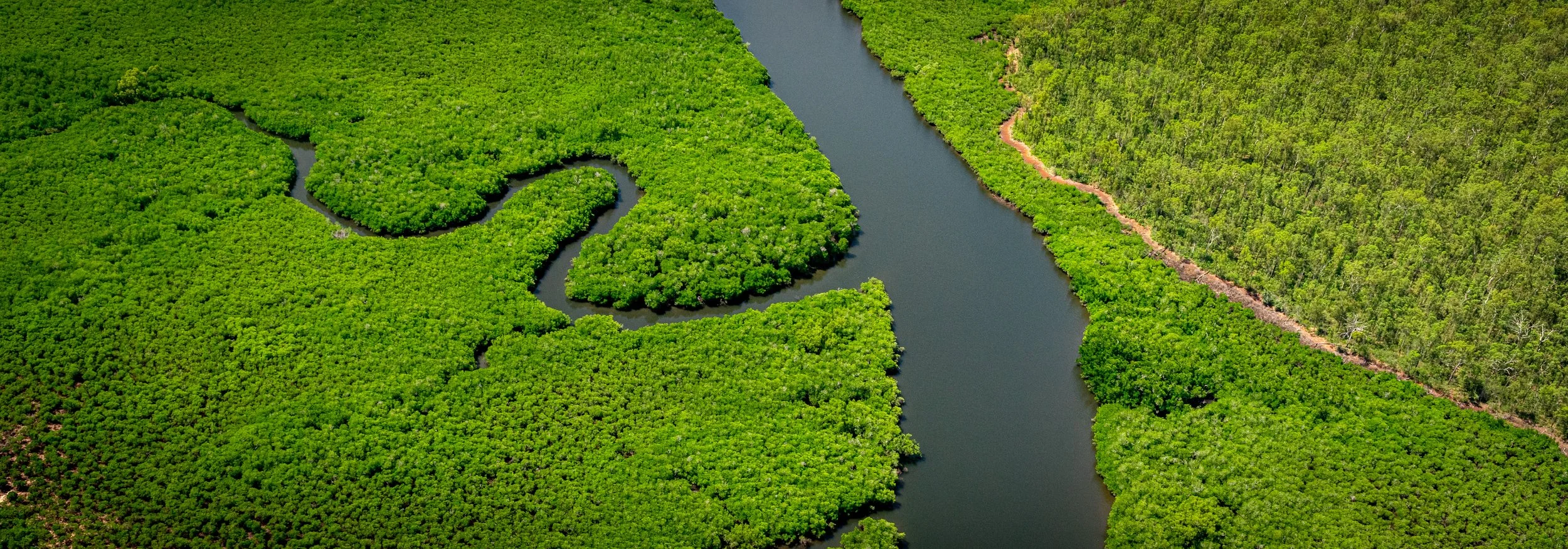 Tiwi Islands 5.JPG