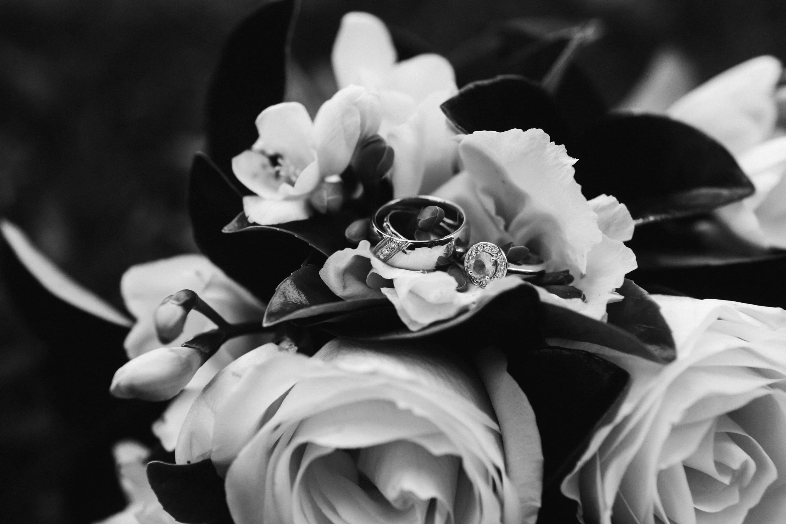 Adelaide Botanic Park Elopement 078.jpg