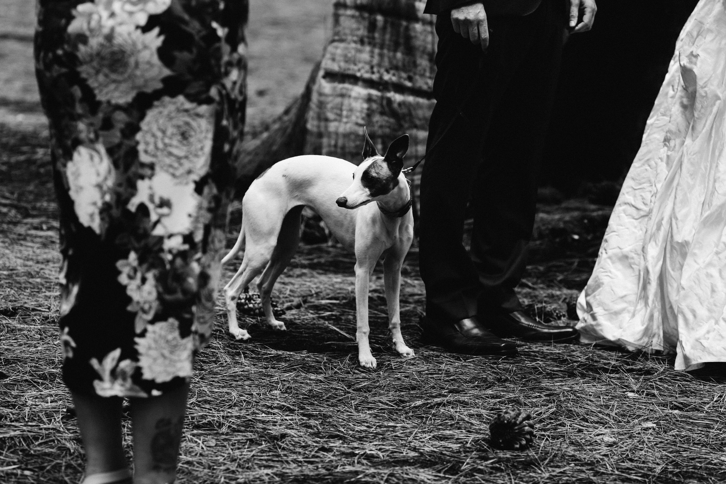 McLaren Vale Elopement 028.jpg