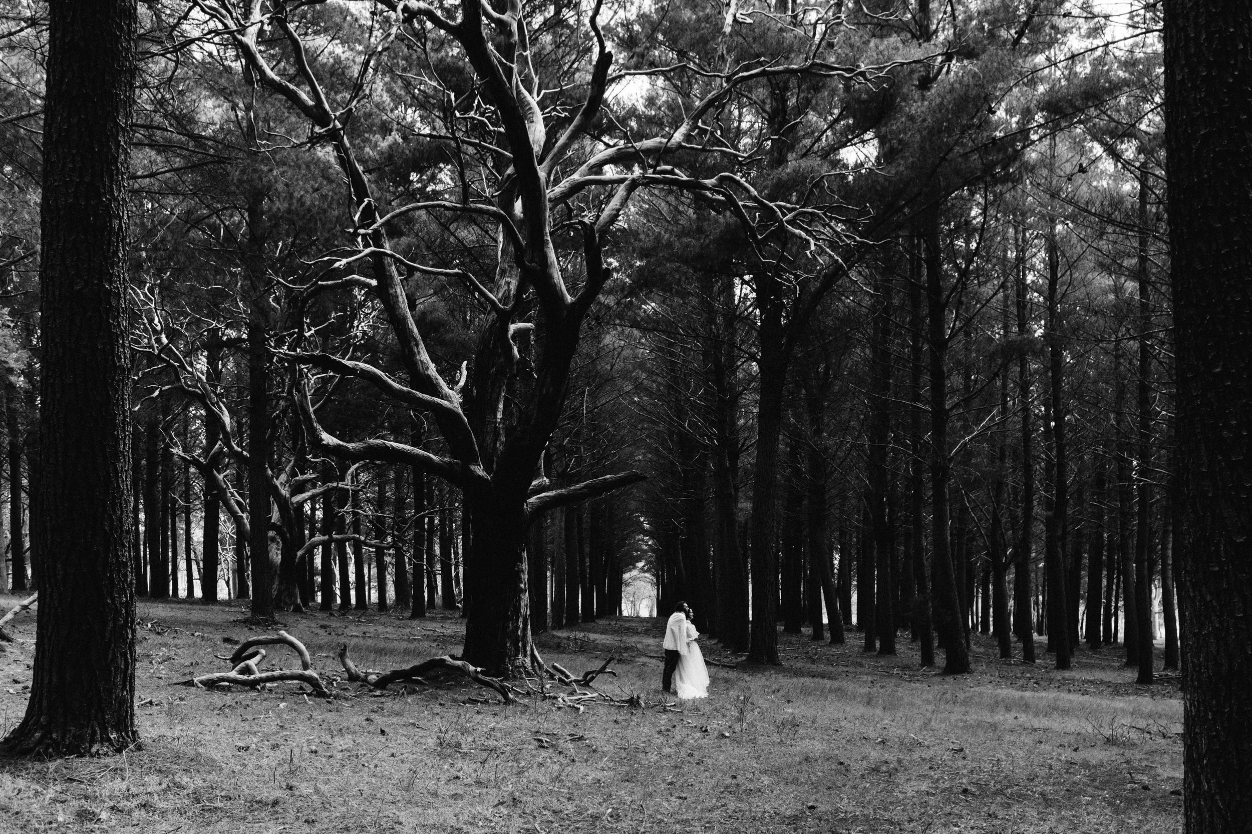 McLaren Vale Elopement SA 039.jpg