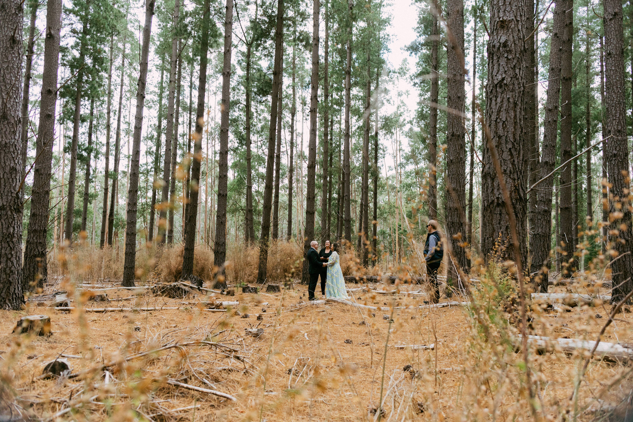 Low-Key Elopement Kuitpo Forest 004.JPG