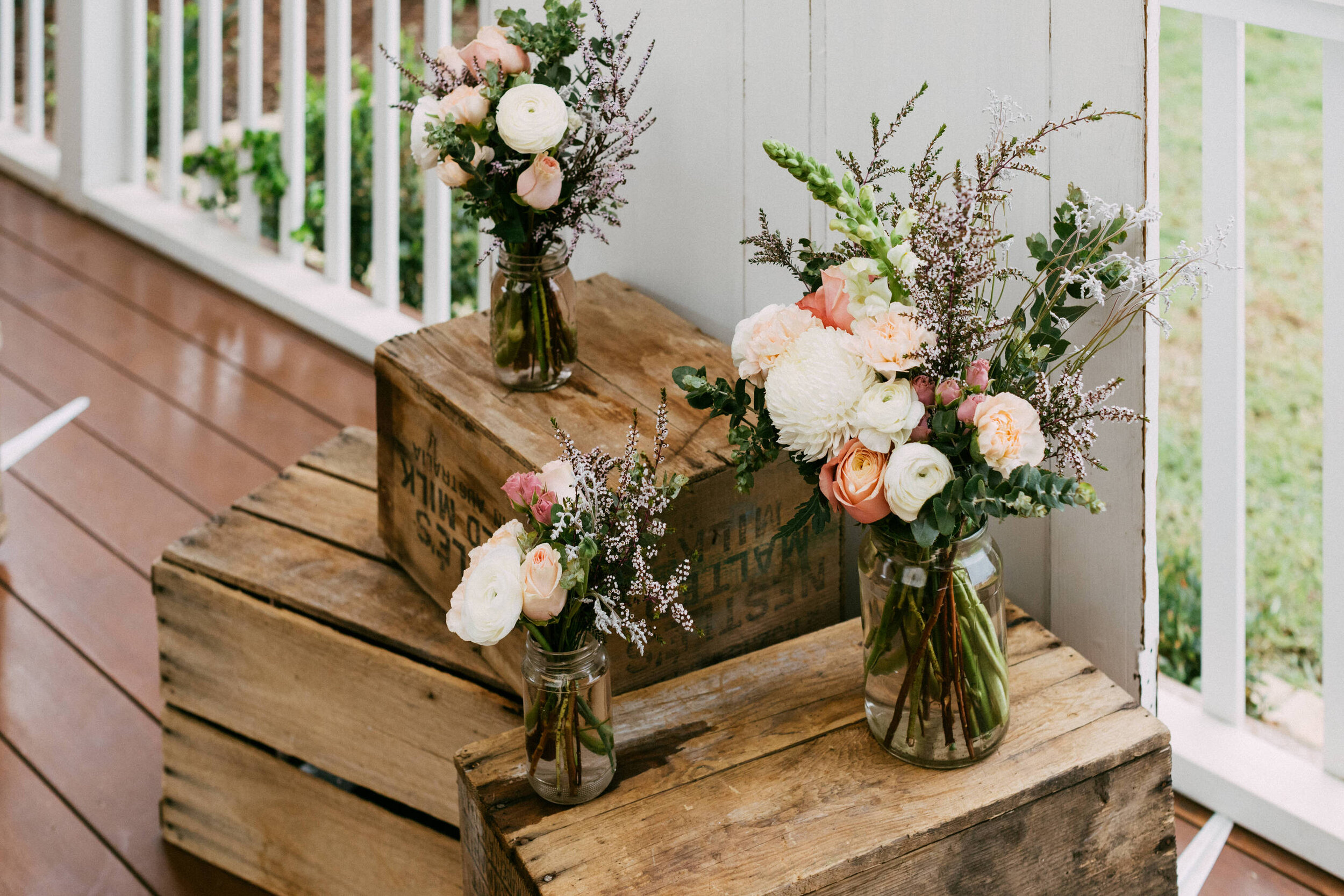 Elopement with Dogs at Home 02.JPG