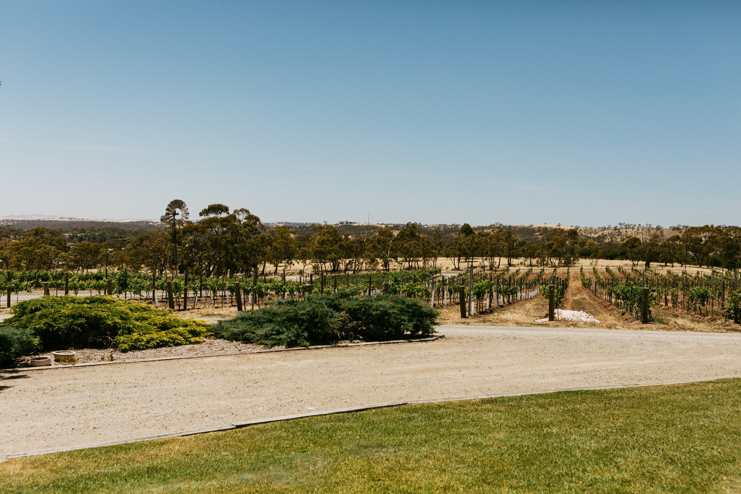 Megan & Keegan's Riverton Farm Elopement — Our Wild Love Elopements
