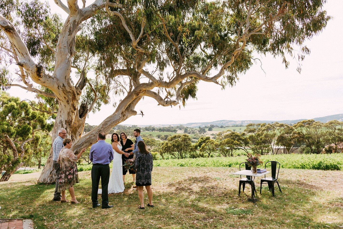 You can elope with your folks as your witnesses if you like. It's a beautiful and intimate experience.⁠
.⁠
.⁠
.⁠
.⁠
#ourwildloveelopements #weddingphotography #wedding #weddinginspiration #ourwildloveelopements #littlecarphotography  #elopement #wand