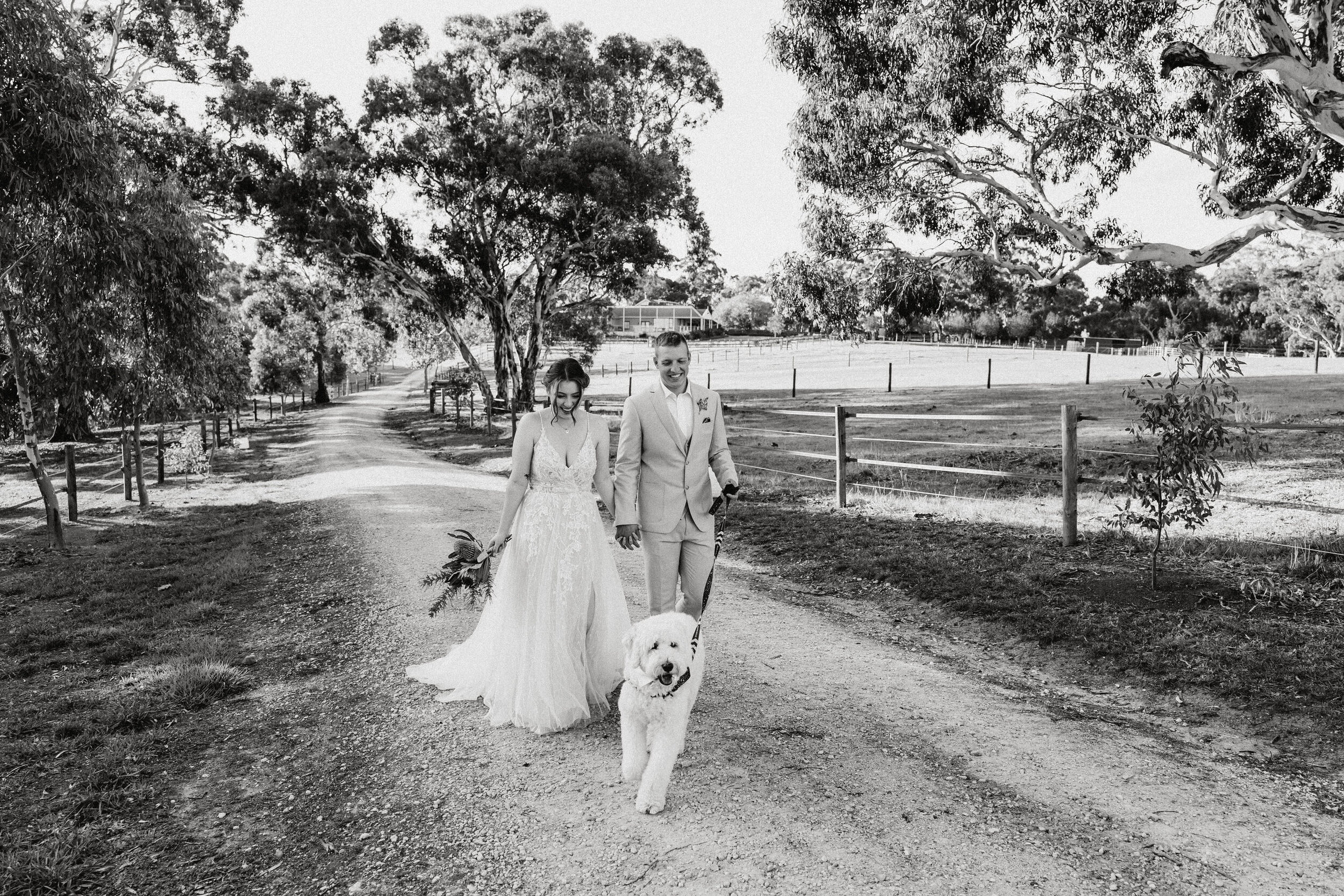 Rustic Adelaide Elopement 45.JPG