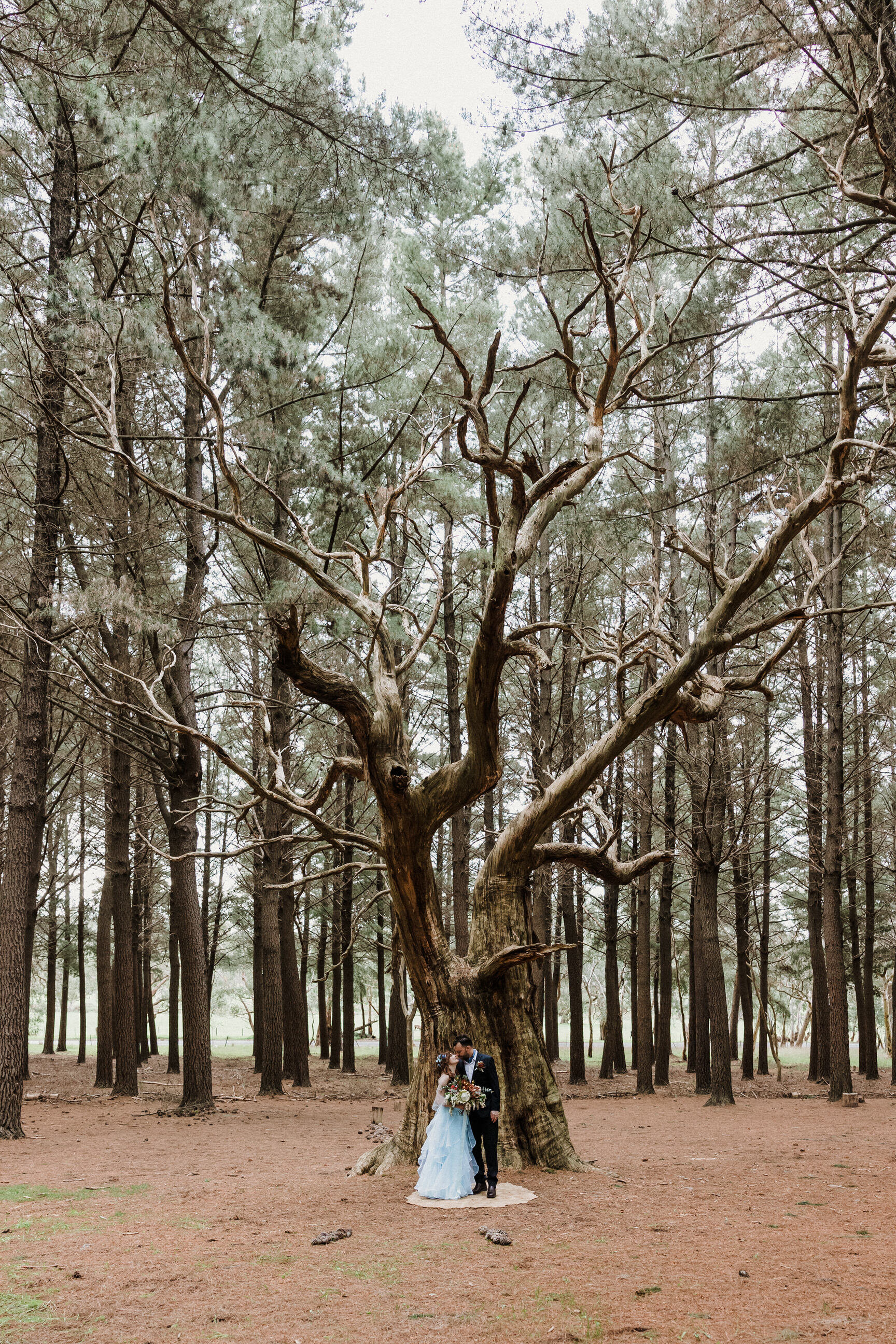 Kuitpo Forest Elopement Blue Wedding Dress 30.jpg