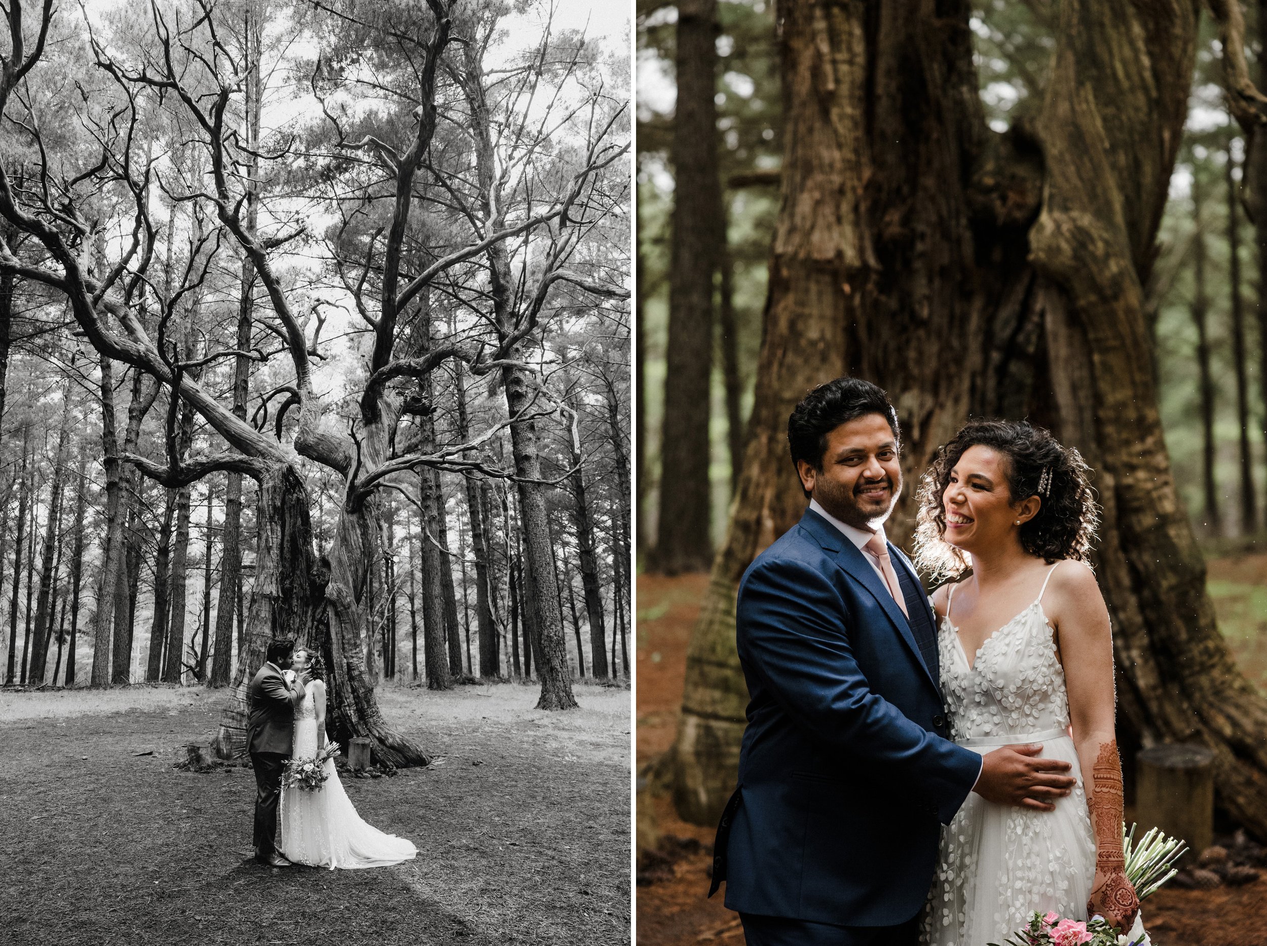 Adelaide elopement Kuitpo Forest 38.jpg