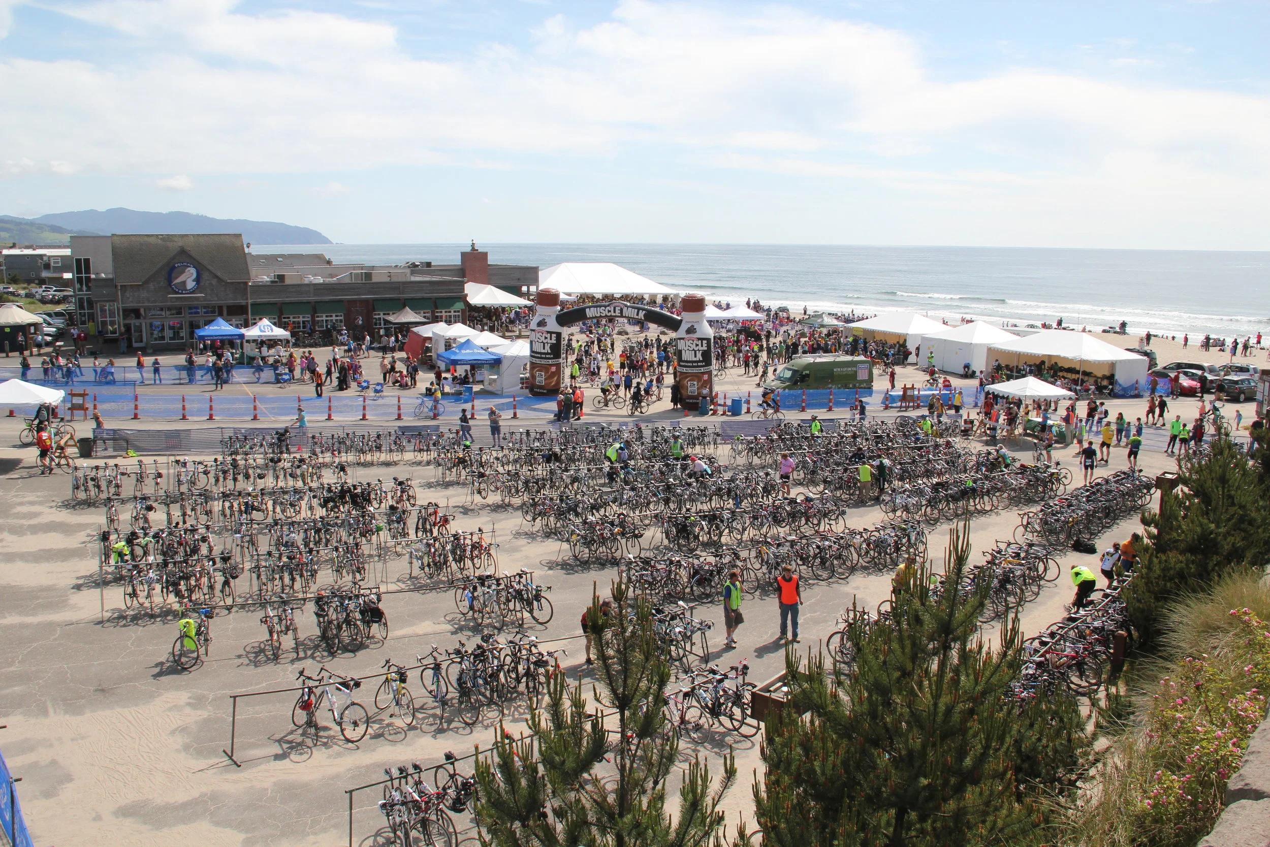 Bikes And...Bikes