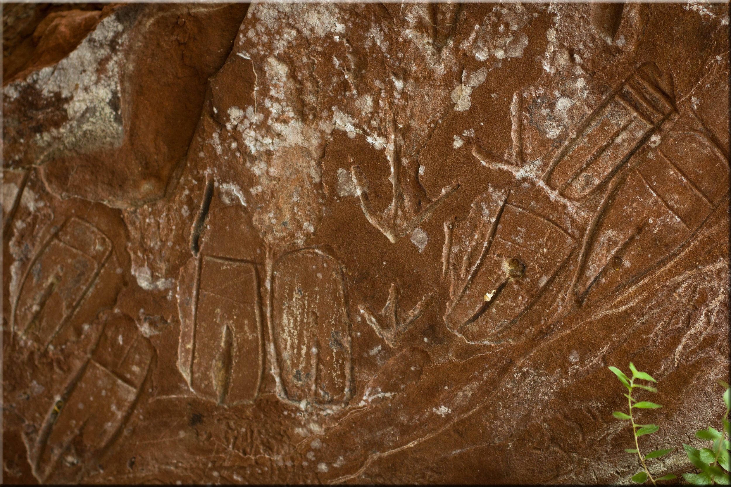 fertility-symbols.jpg