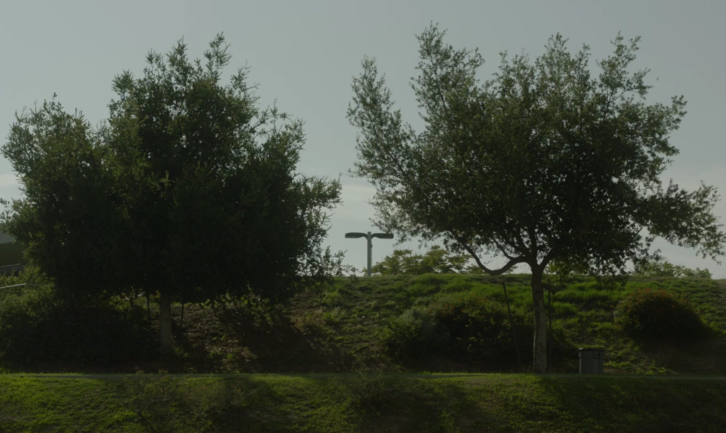 Screenshot 2026-02-11 at 01.16.57.png