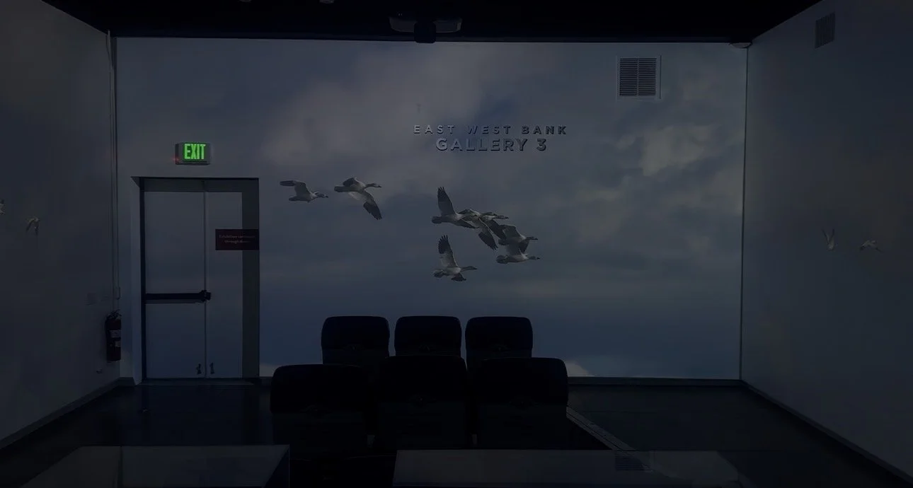  Installation View of “Departure” at USC Pacific Asia Museum, Los Angeles, 2026. Commissioned by USC Pacific Asia museum and Curator Dave Kim. 