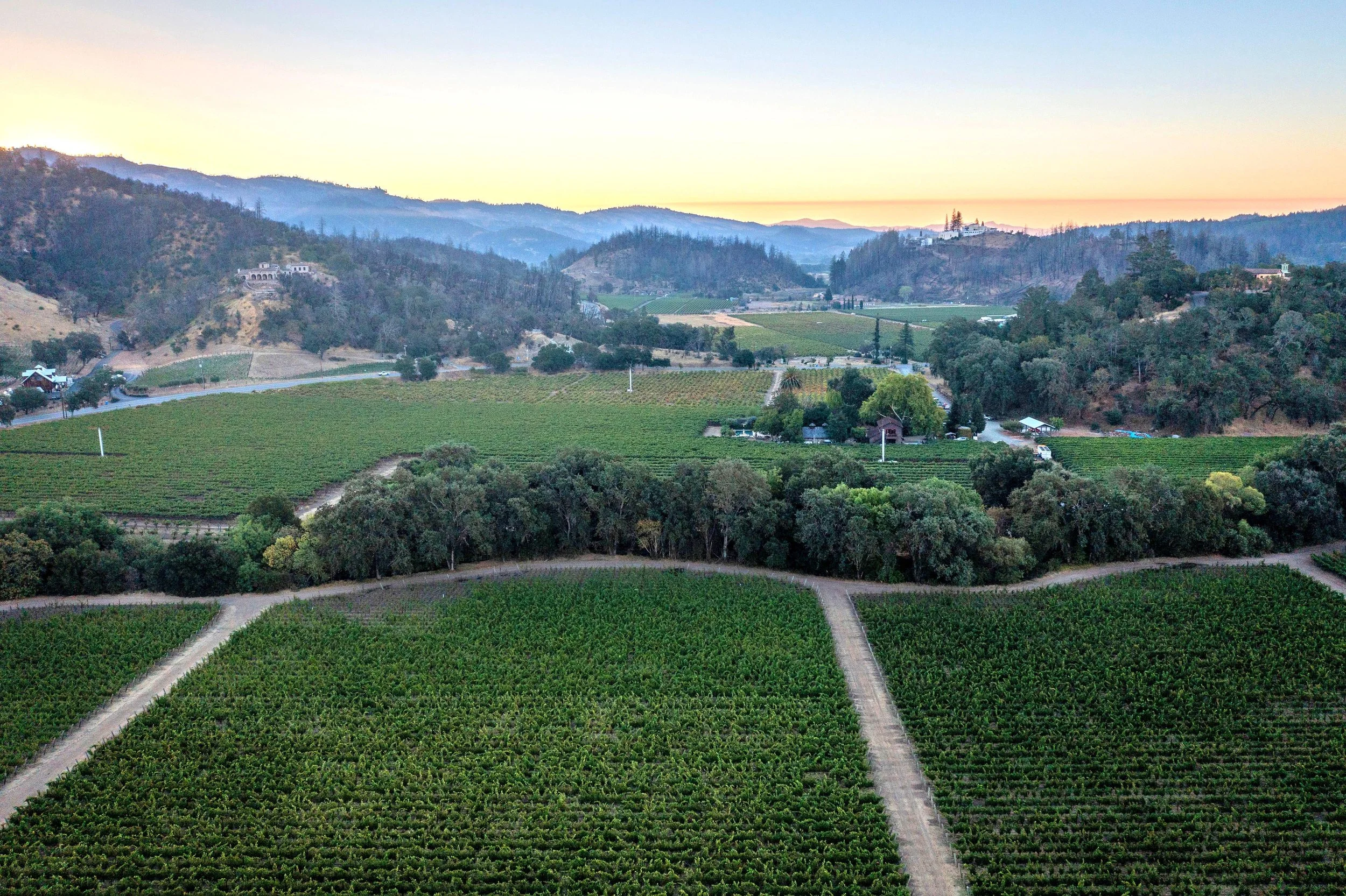 calistoga-ava-napa-valley1.jpg