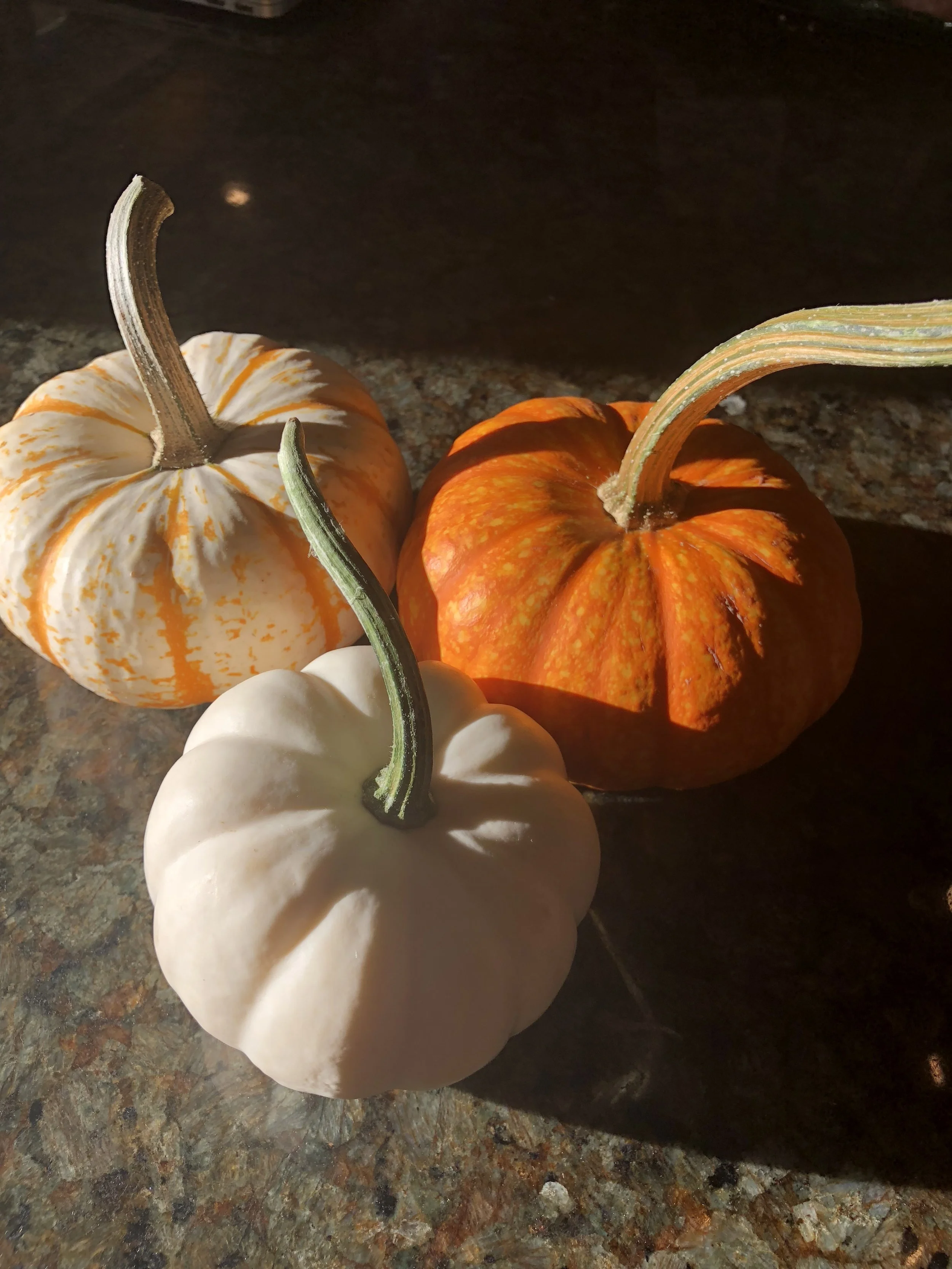 Thanksgiving is coming soon....