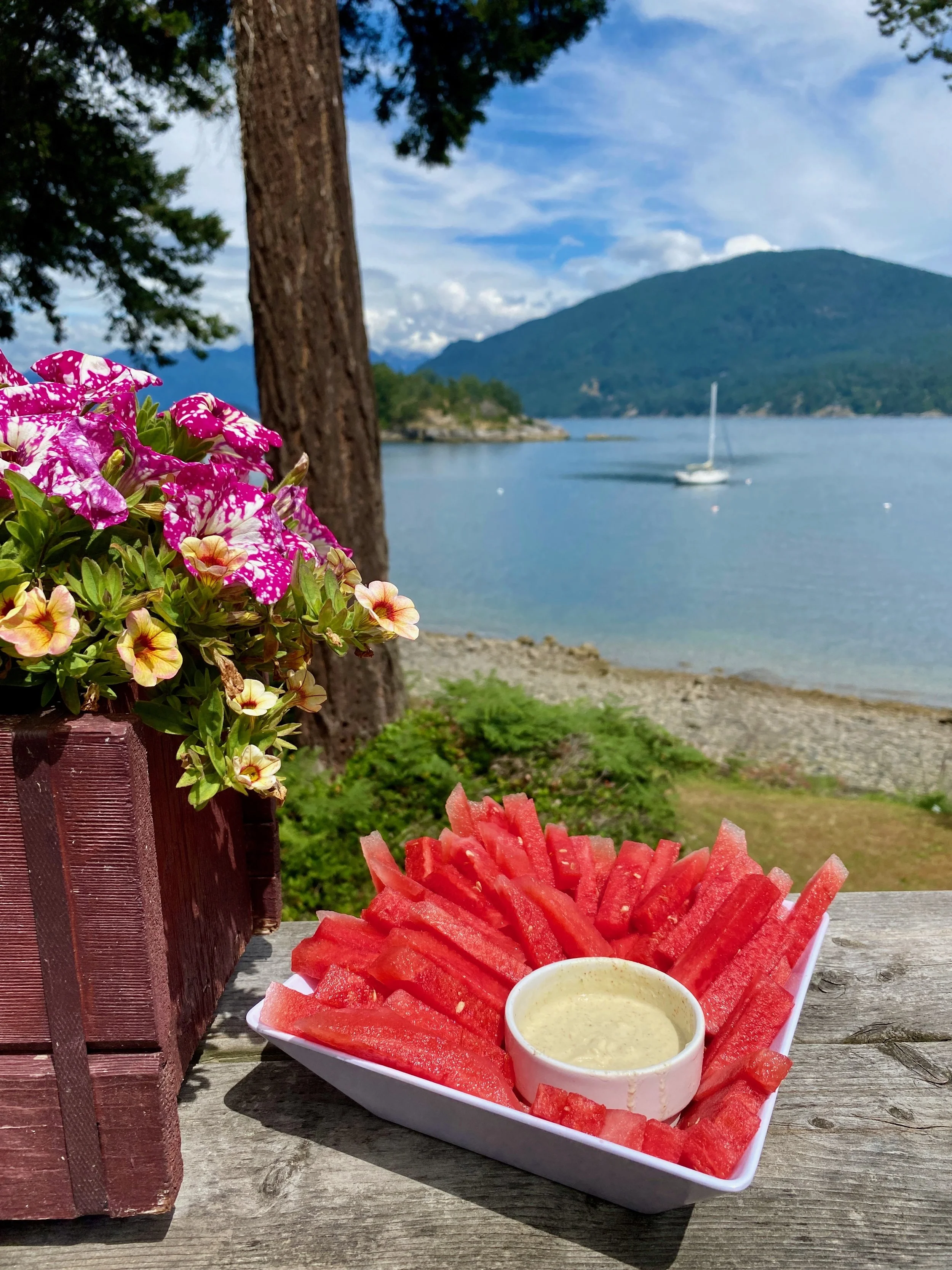 Spicy Watermelon Fries with Lime Yogurt Dip