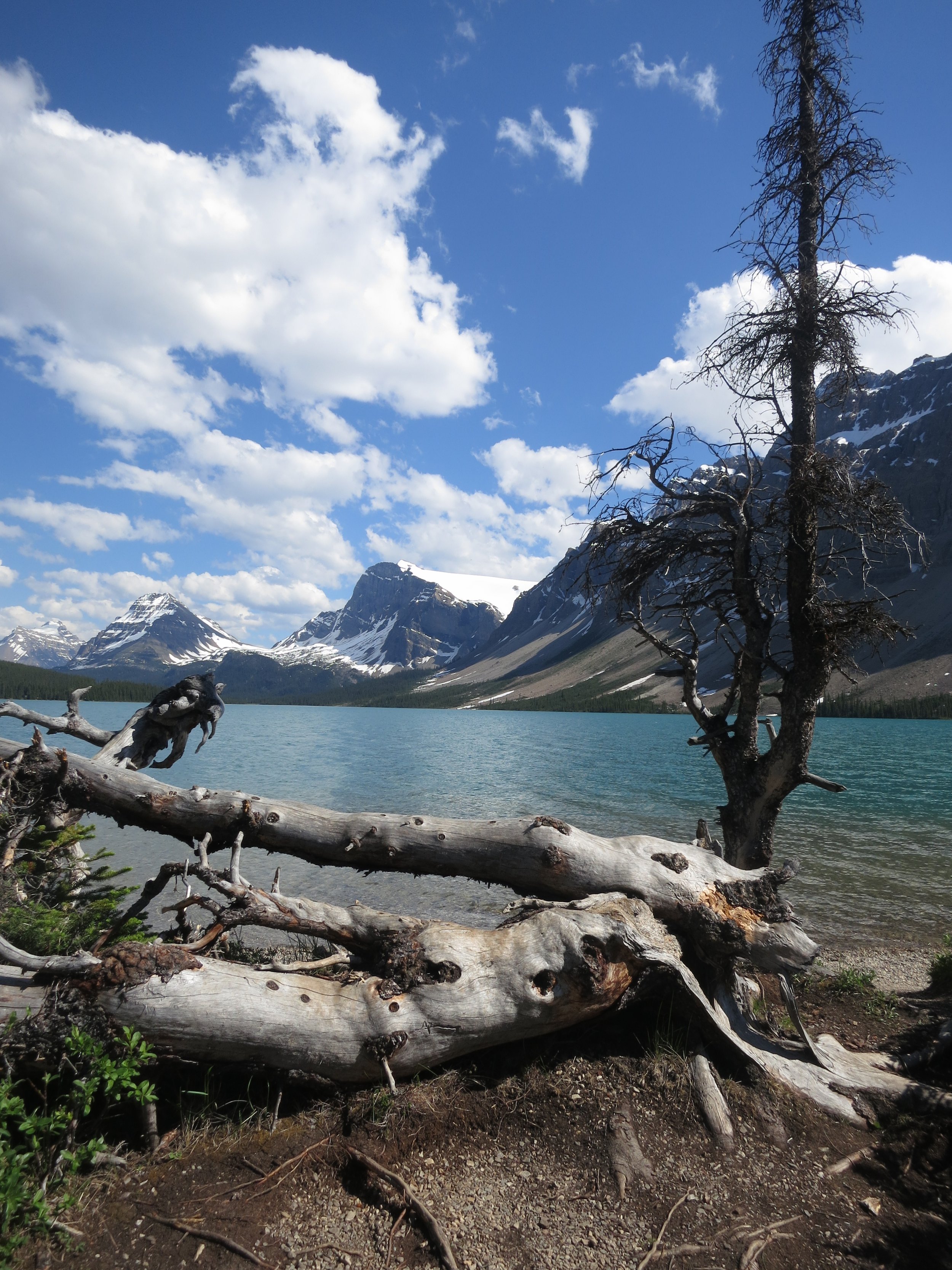 bow lake.jpeg