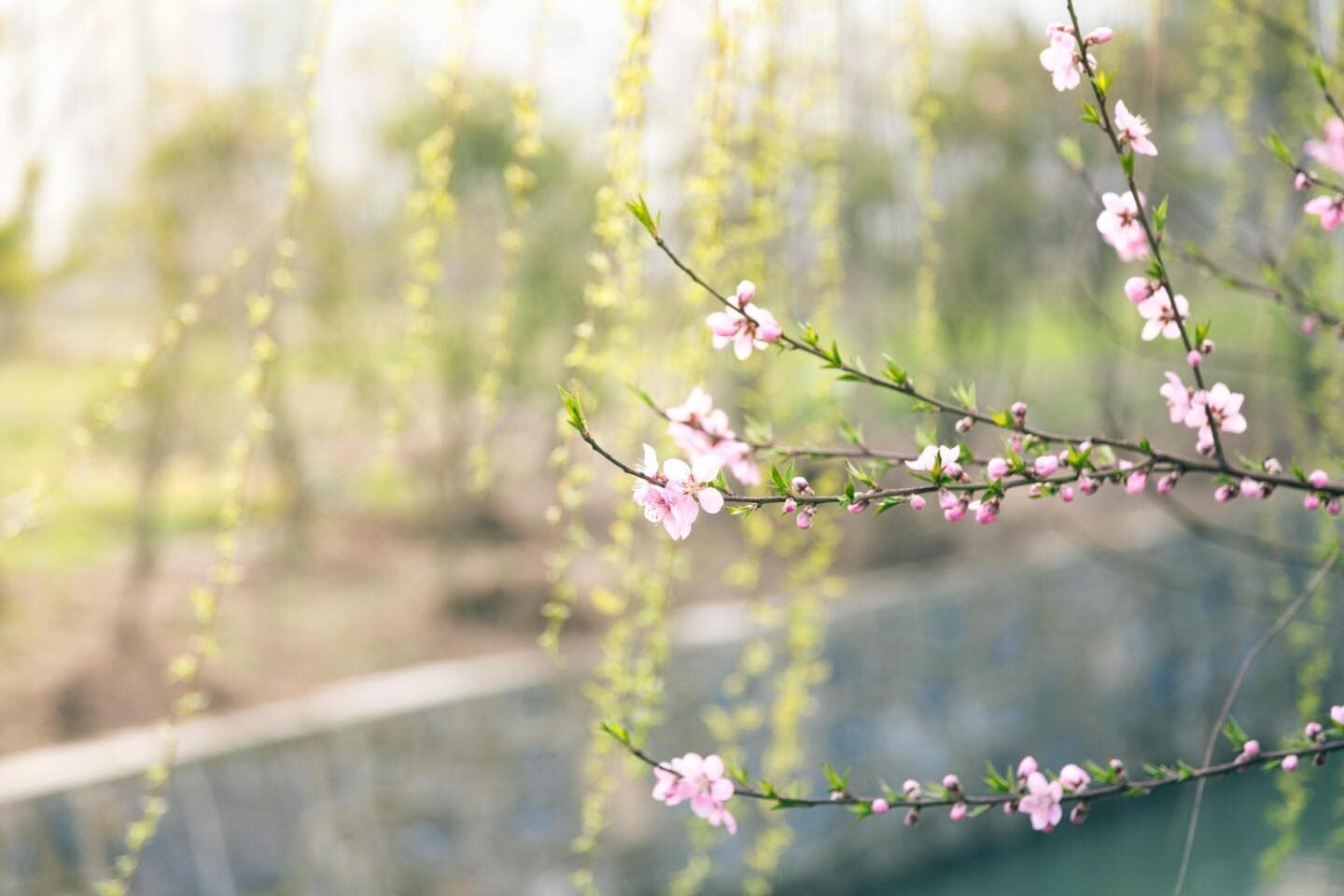 &ldquo;It was one of those March days when the sun shines hot and the wind blows cold, when it is summer in the light and winter in the shade.&quot; 
~ Charles Dickens