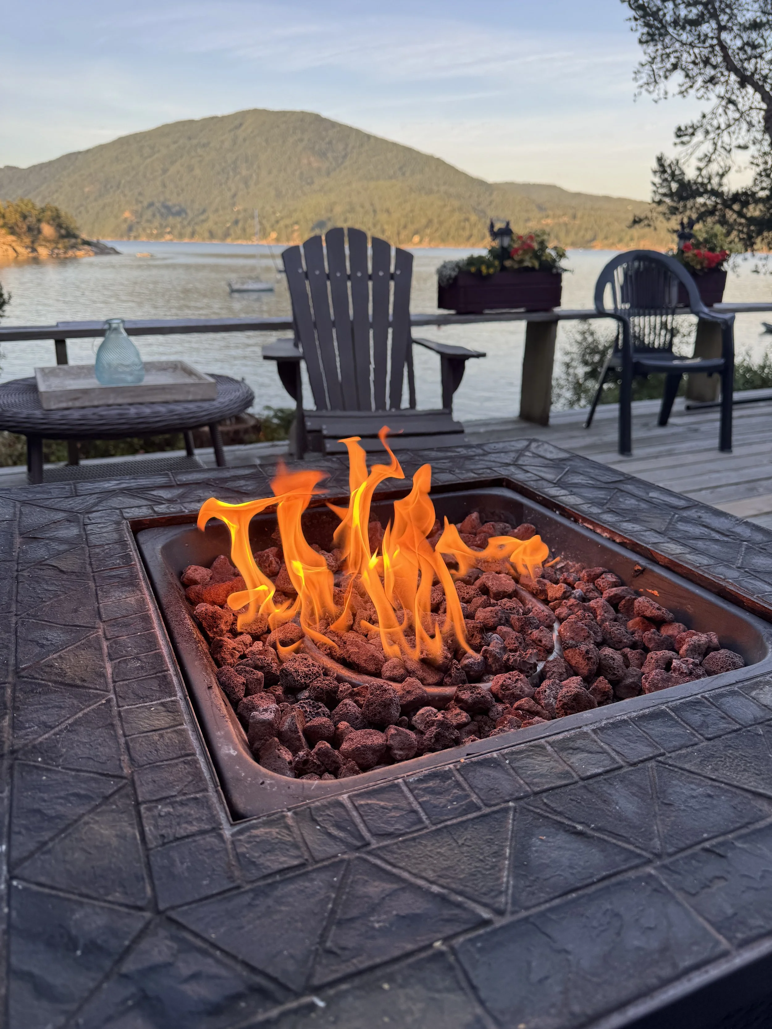 Family Fire Time Fun!