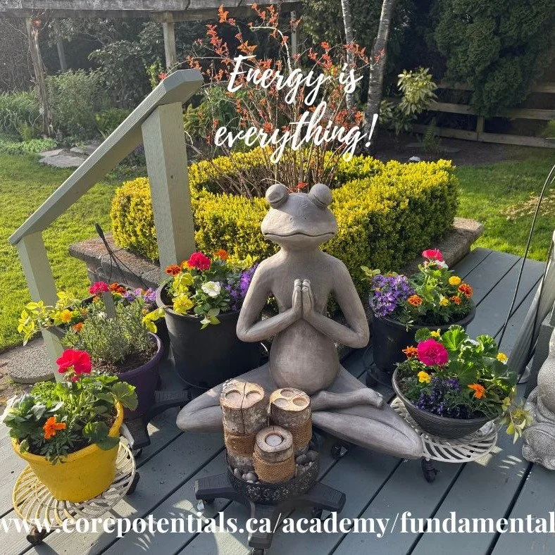 I still have a few spots left!!! 
I love the Eden Method!
I love the Eden Method Tribe!
I love my Eden Method Students! 
I love ENERGY MEDiCINE
You will love yourself and all the amazing new like minded friends you are going to meet! 
Come to my beau