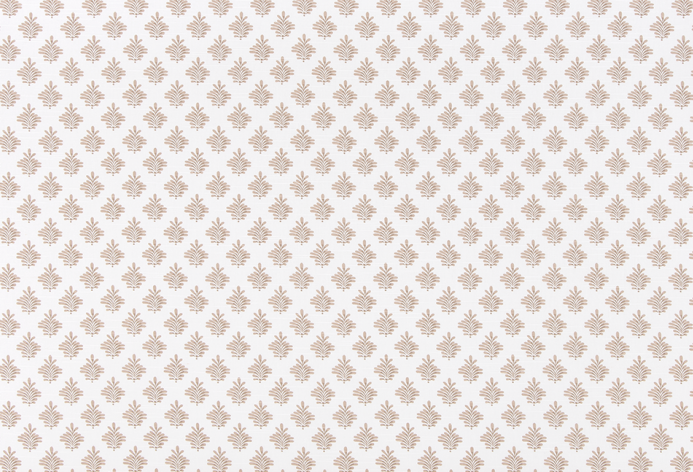 Dyann Spice.png