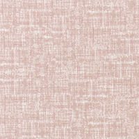 Palette Blush.png