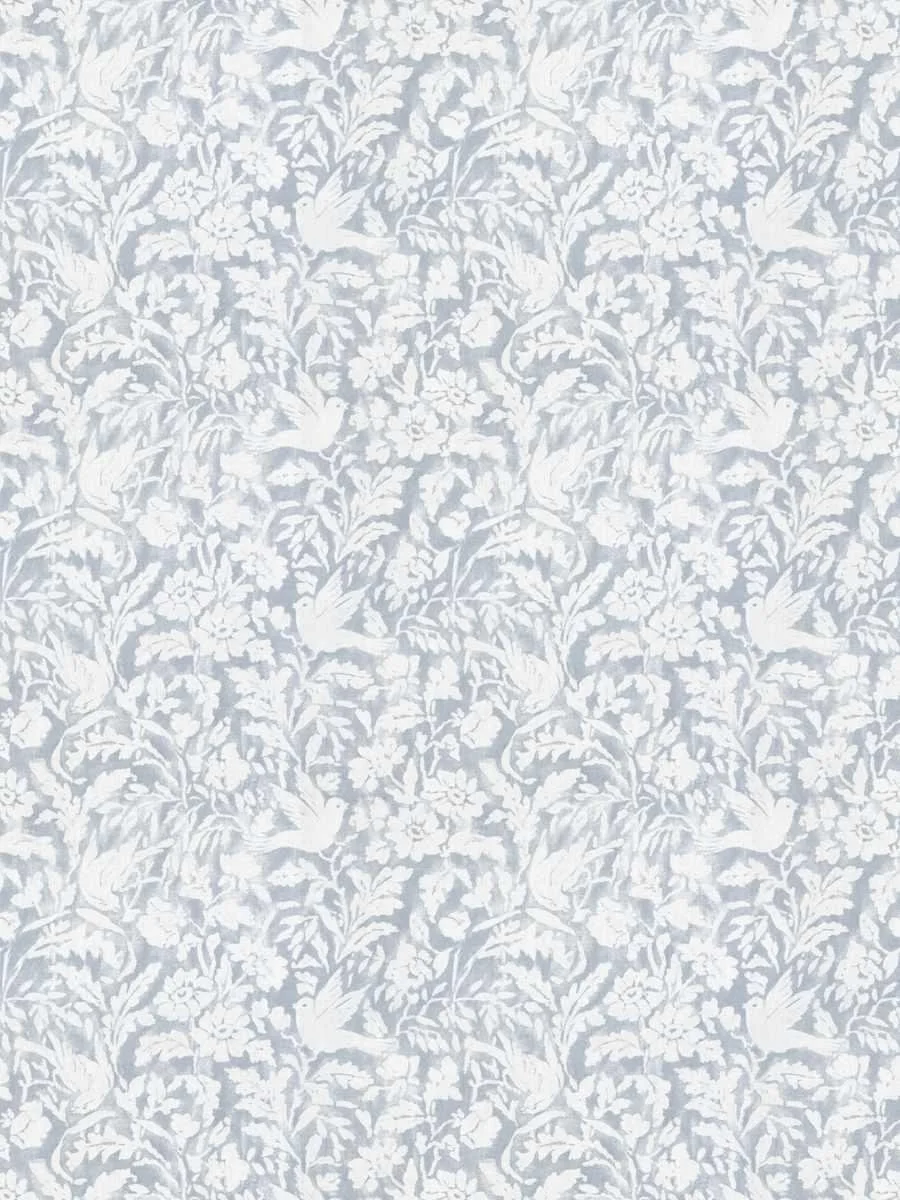 Cornflower.jpg