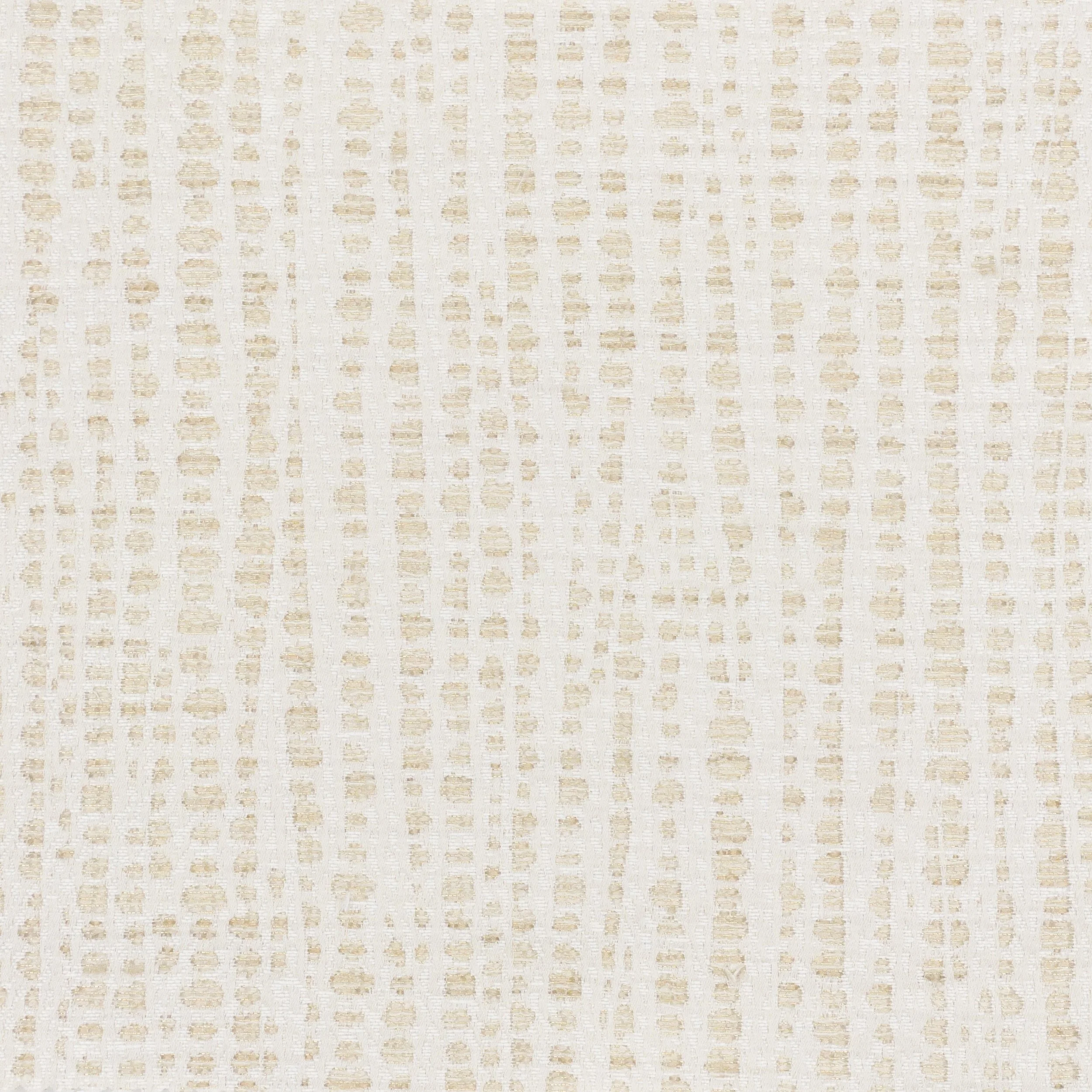 SENSational biscuit.jpg