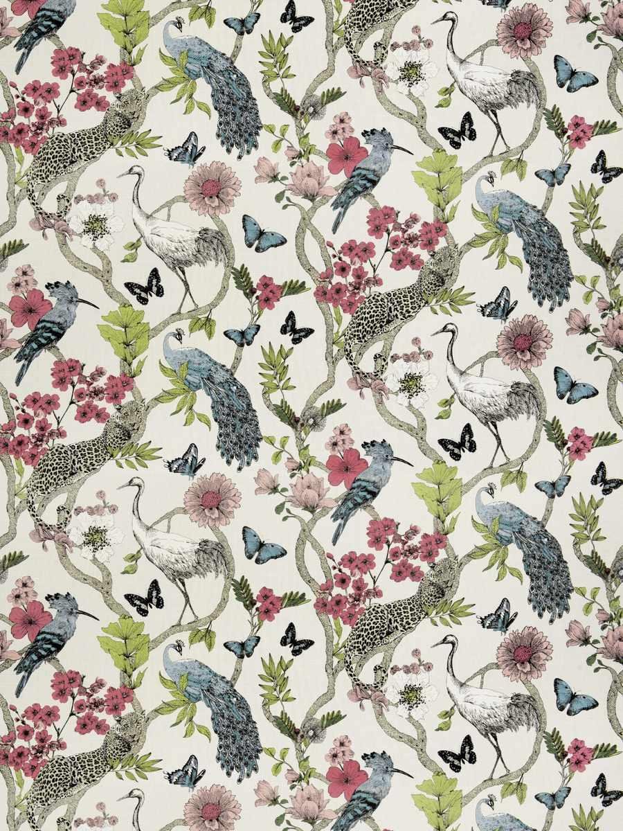 unity coral garden.jpg