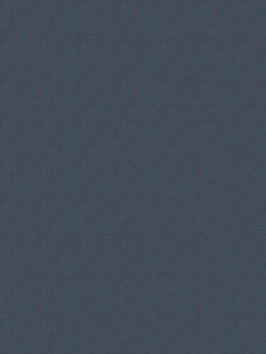 8610528.jpg