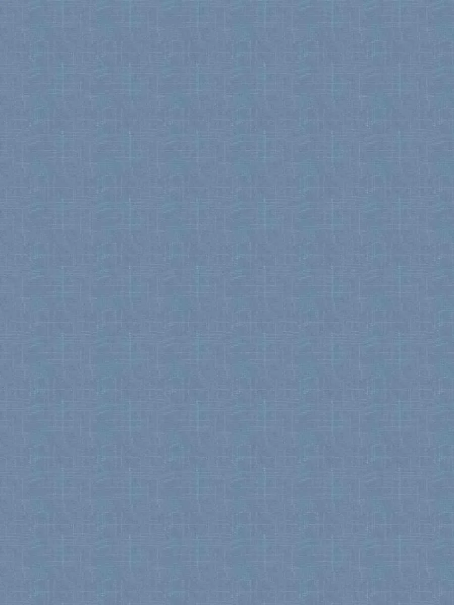 8610529.jpg
