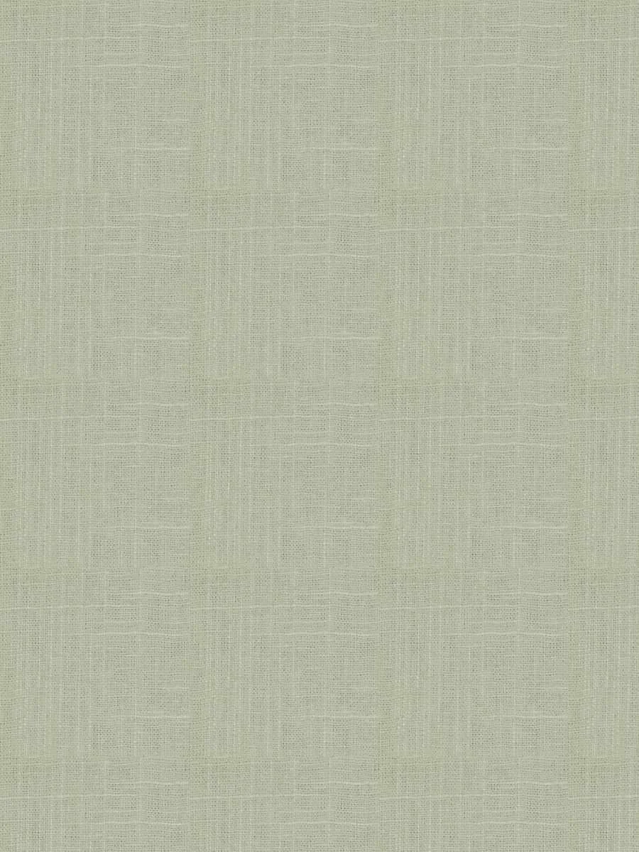 8610521.jpg