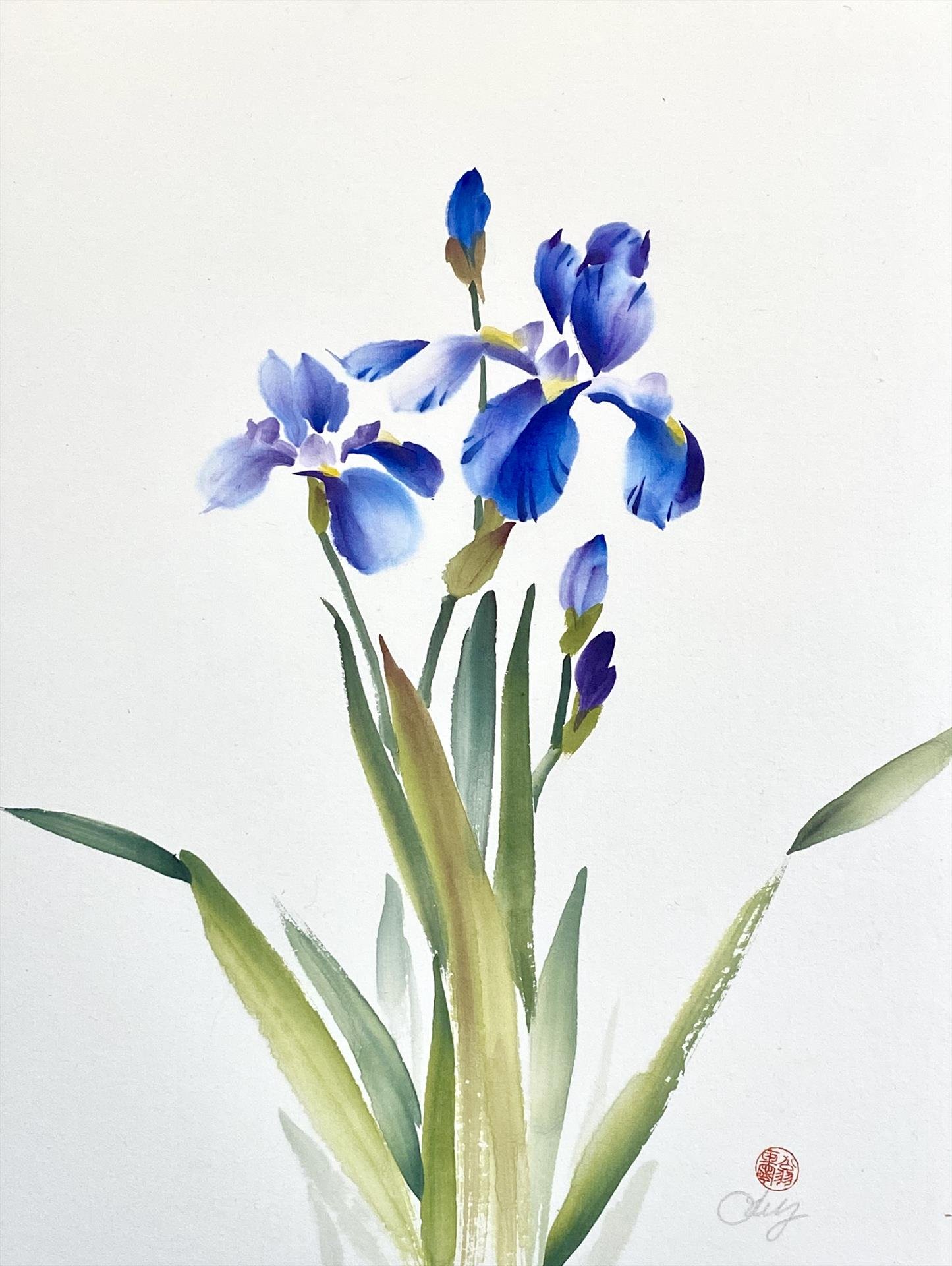 "Hanakotoba Blue Iris"