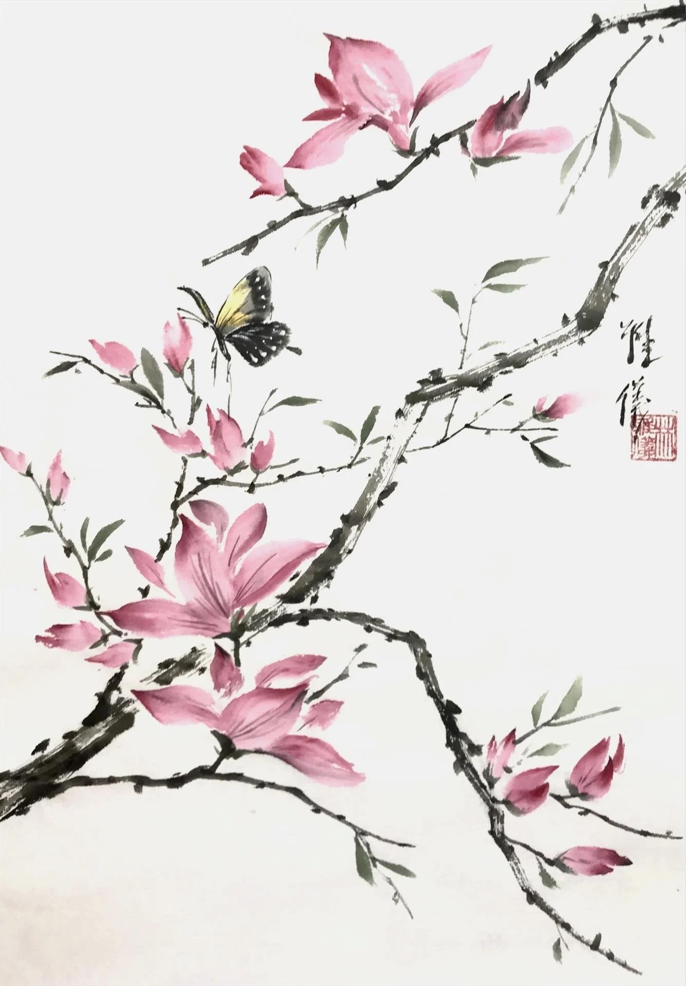 "Magnolia"