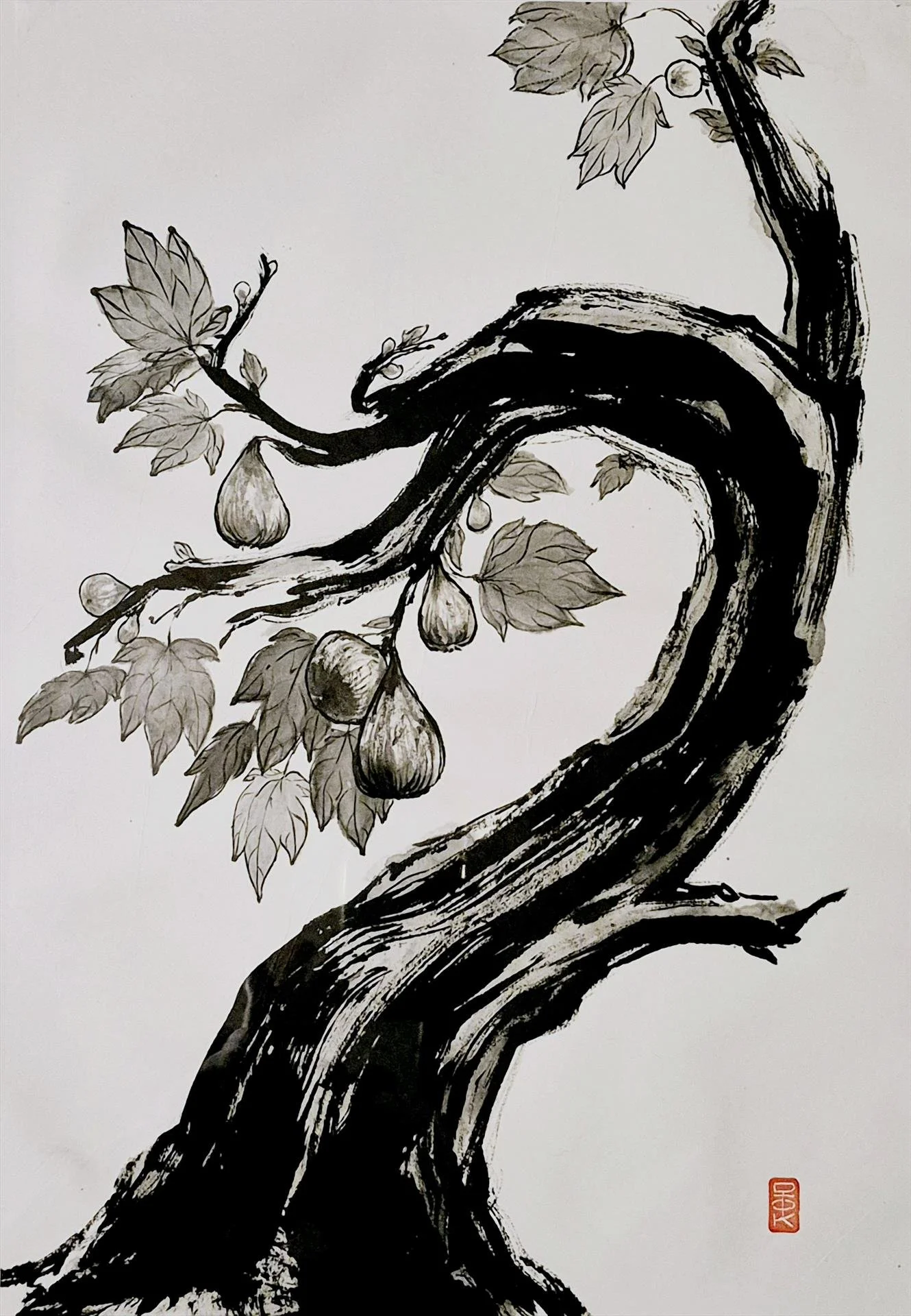 "Fig"