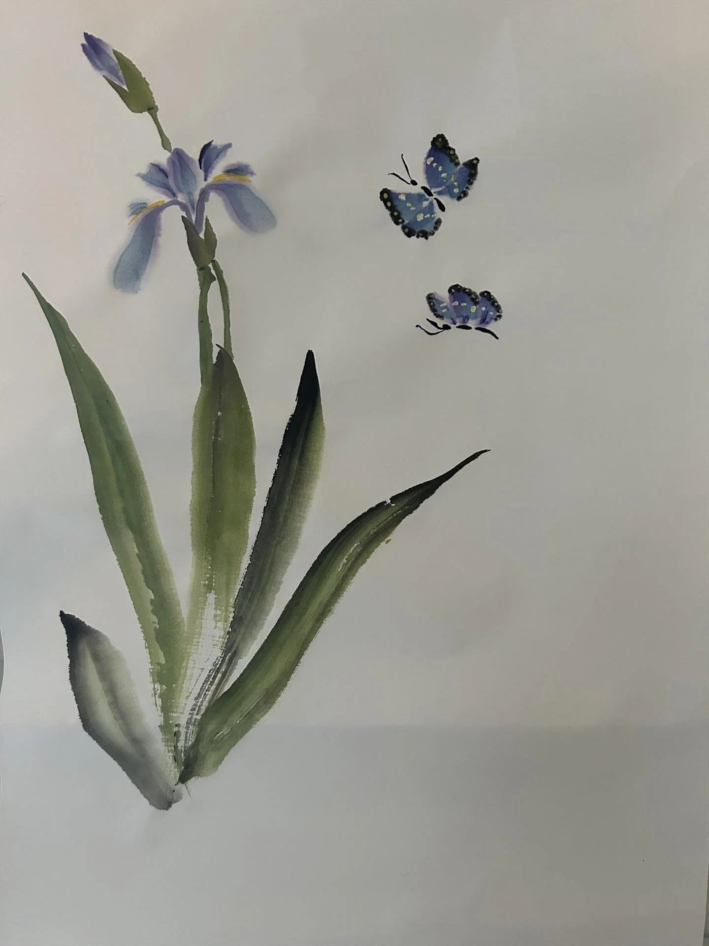 "Butterflies Blue Iris"