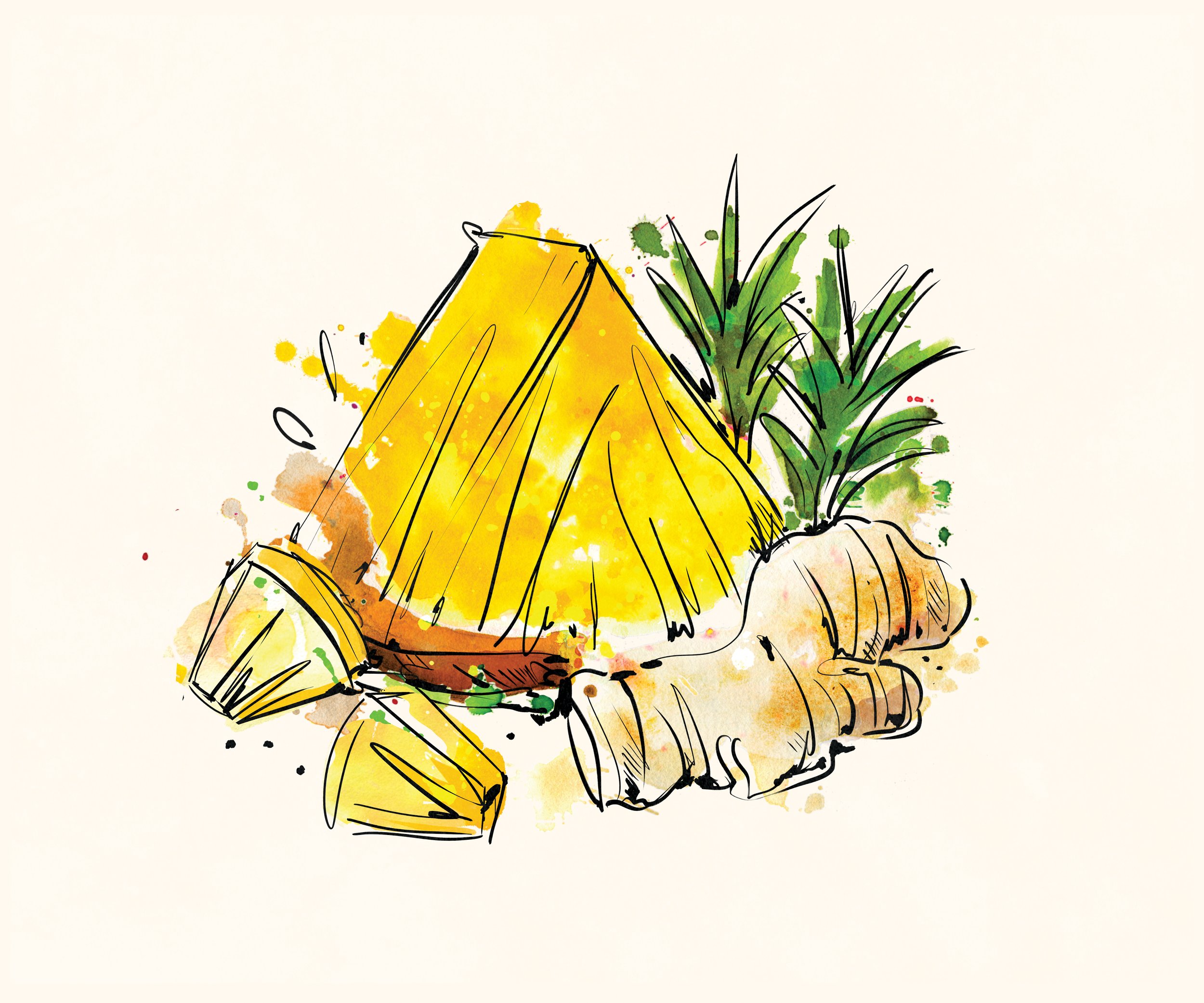 pineapple ginger.jpg