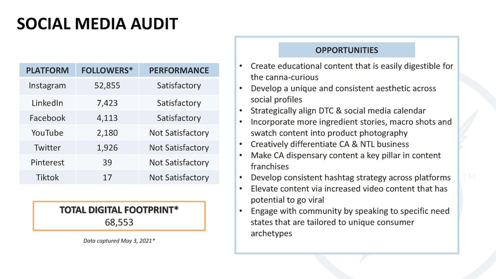 Social + Influencer Strategy_Page_04.jpg