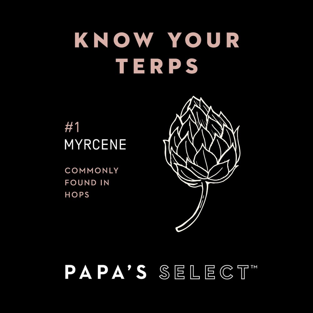 PapaSelect_Post_Myrcene.jpg