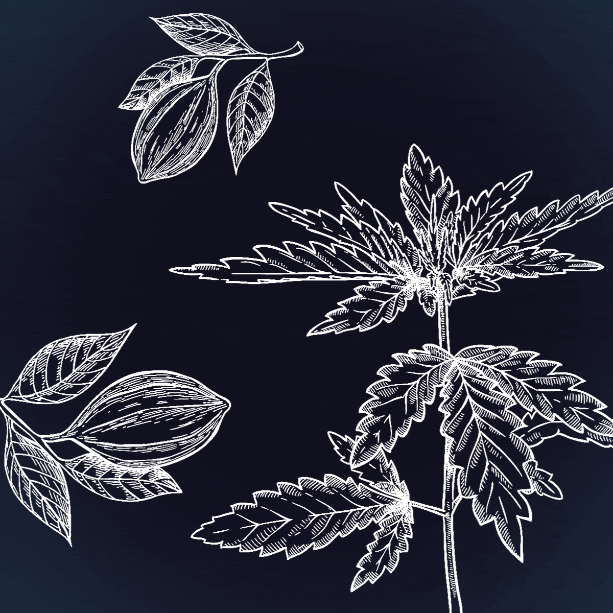 5 Nighttime Products