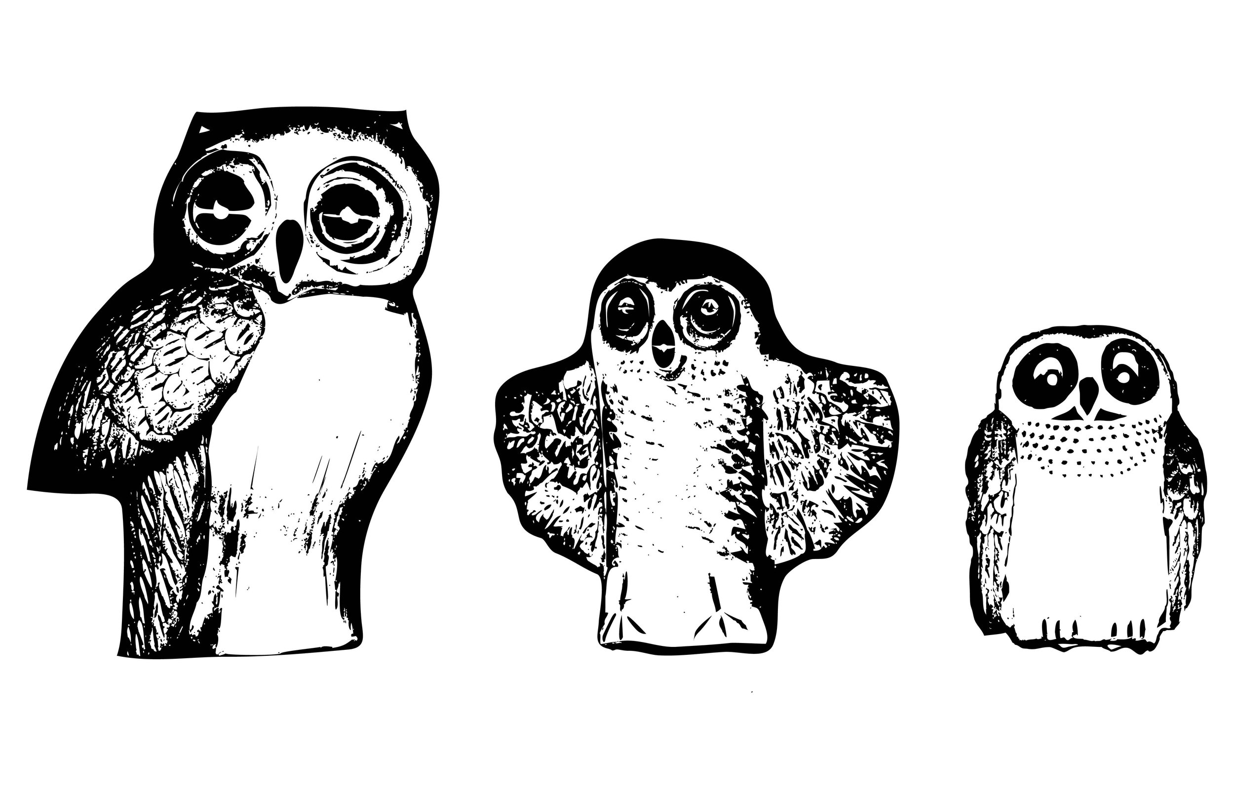 owldesign.jpg