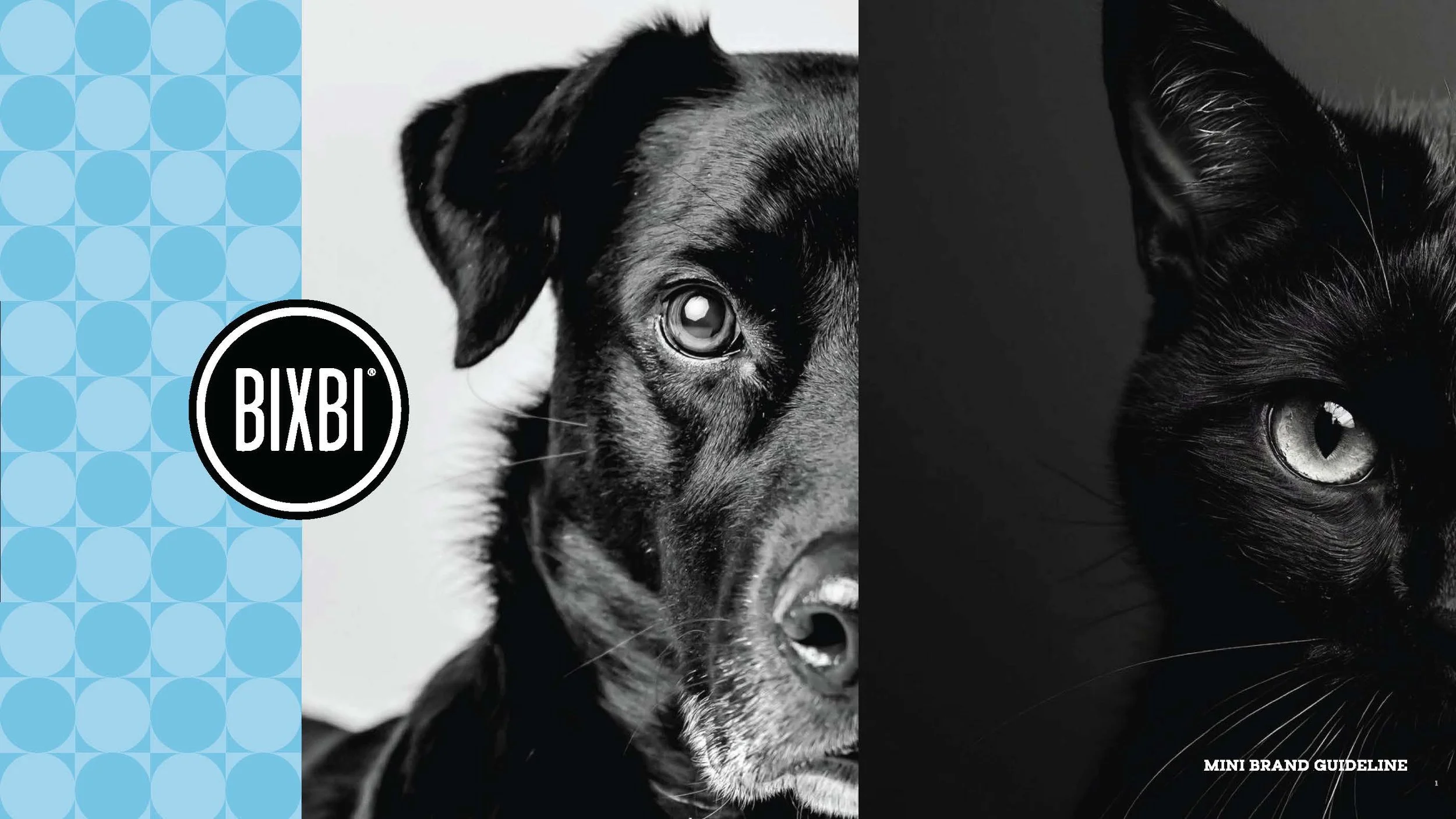 bixbi-brand-guidelines-and-website-style-guide-v0-5_Page_01.jpg