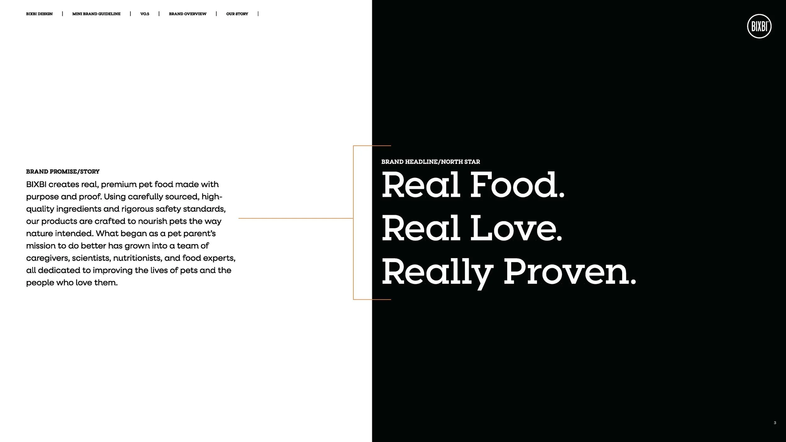 bixbi-brand-guidelines-and-website-style-guide-v0-5_Page_03.jpg