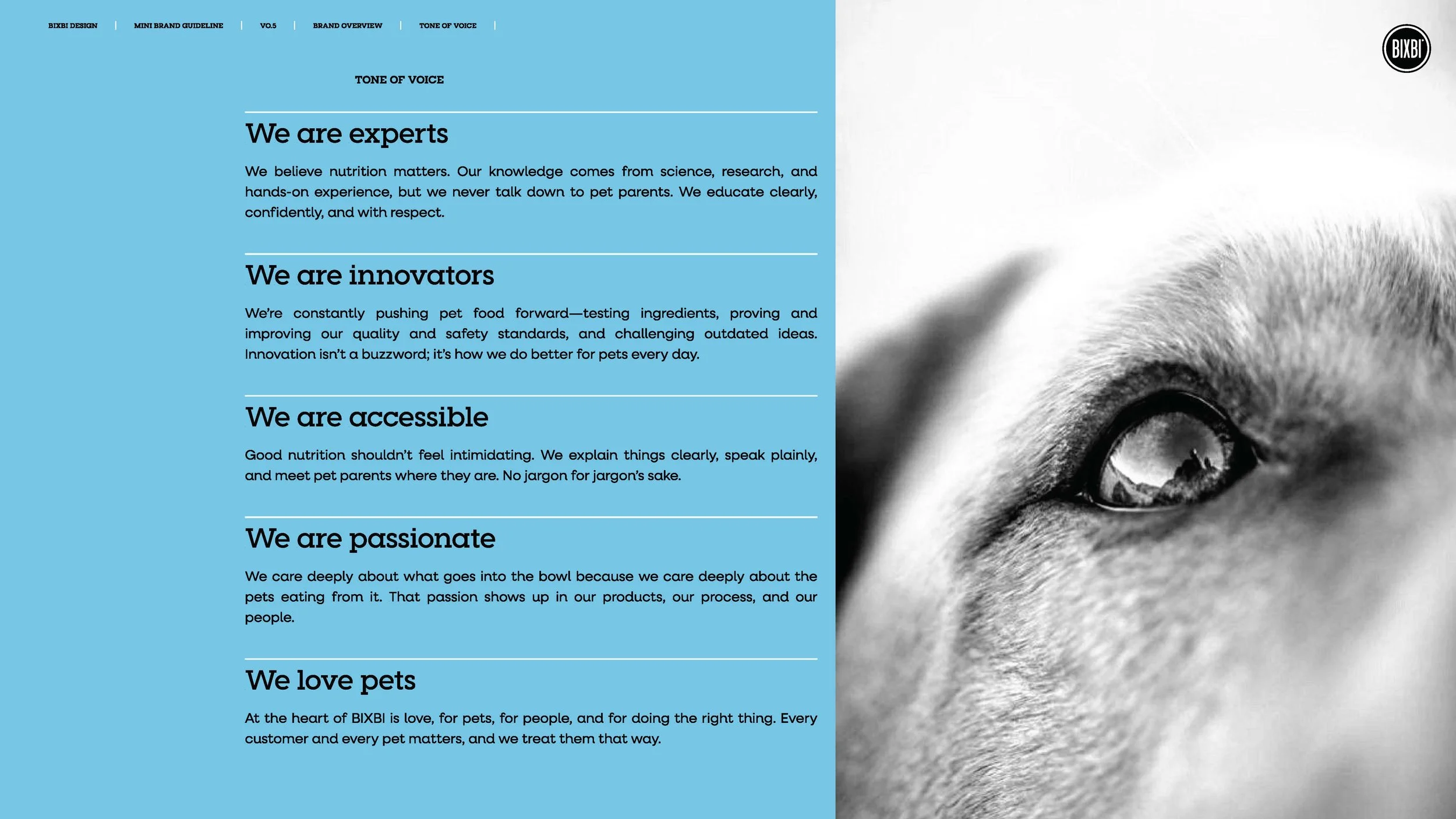 bixbi-brand-guidelines-and-website-style-guide-v0-5_Page_05.jpg